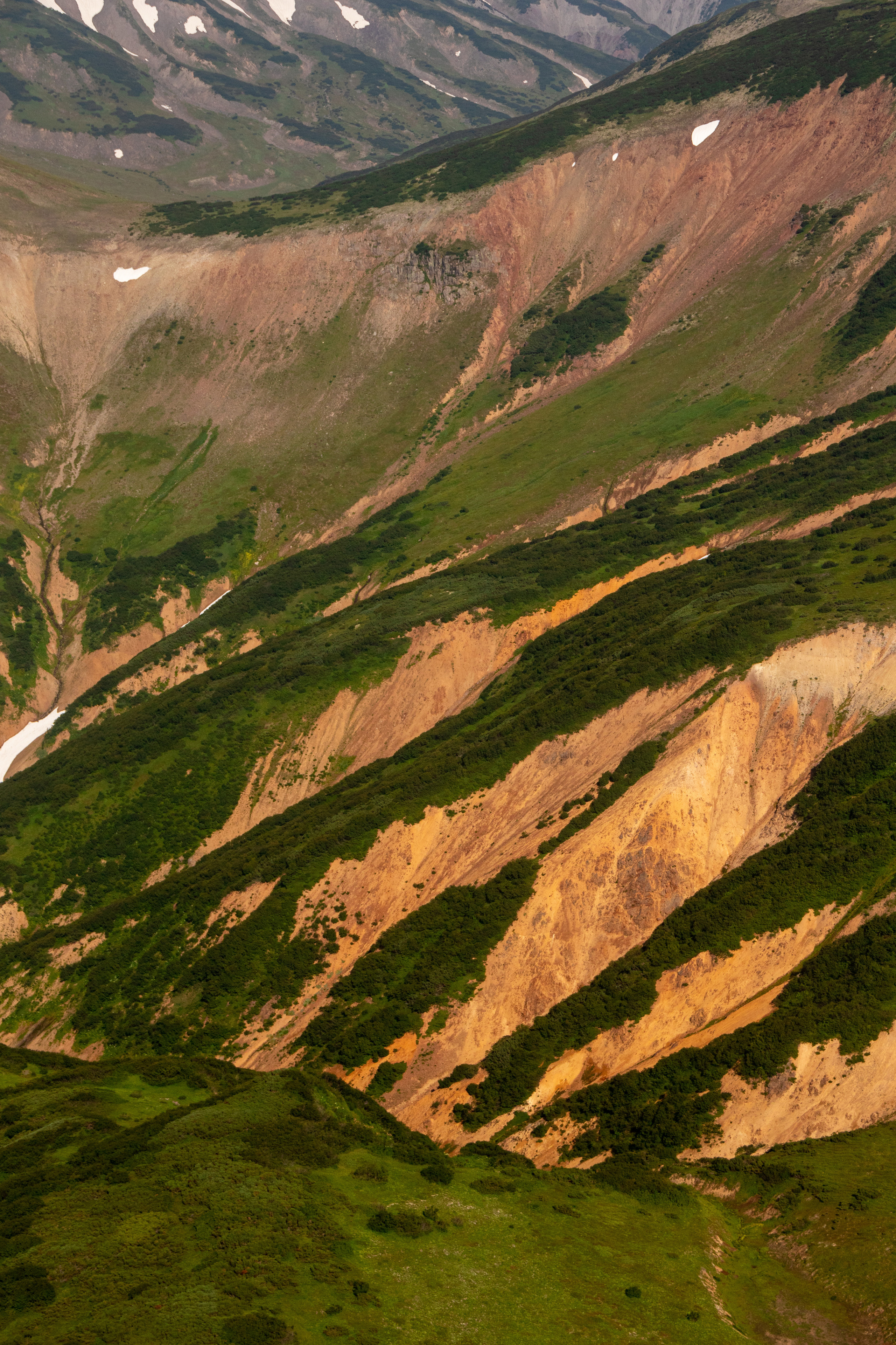 Камчатка. Наталия Фролова. Фотограф. Москва