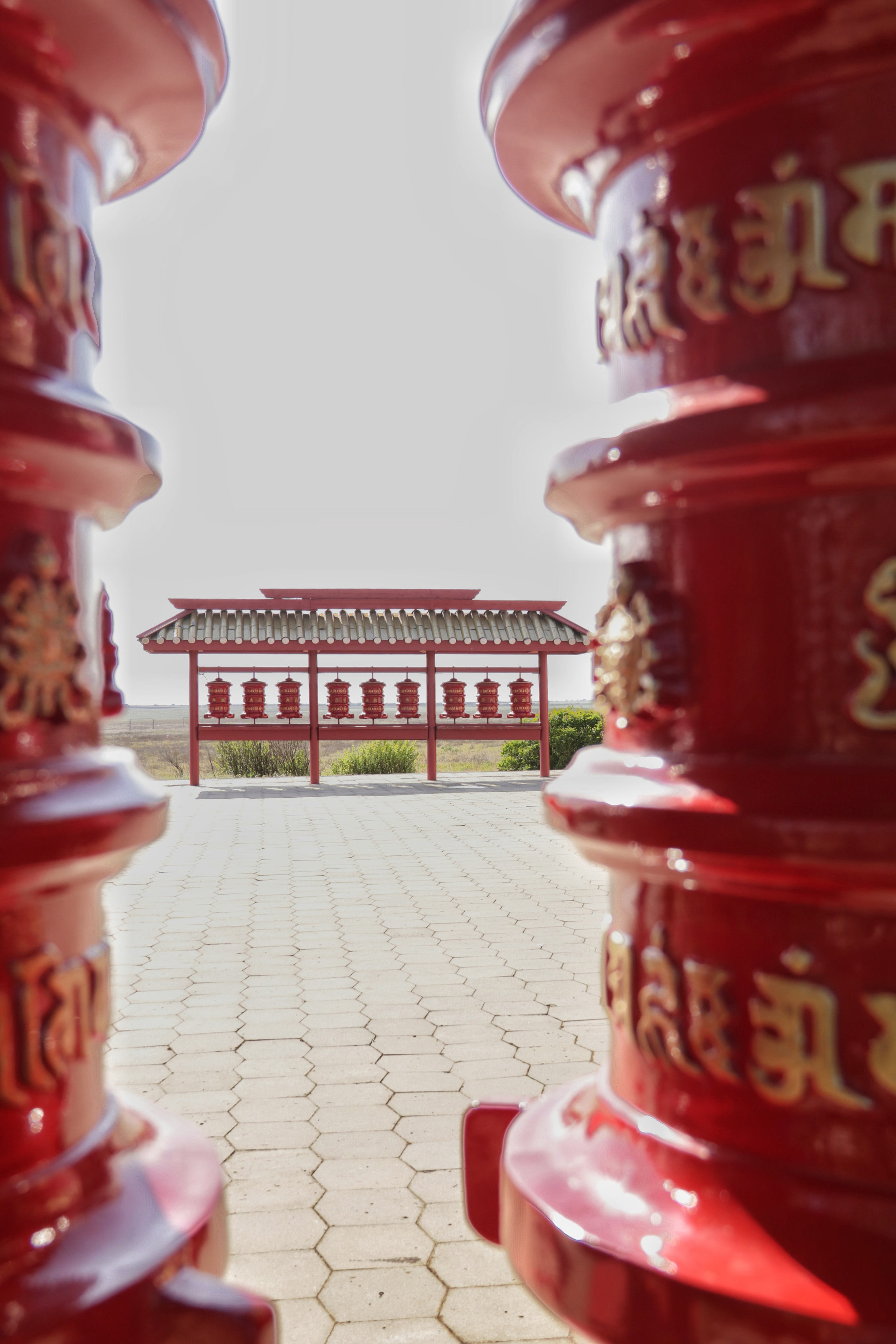 Калмыкия и Баскунчак. Наталия Фролова. Фотограф. Москва