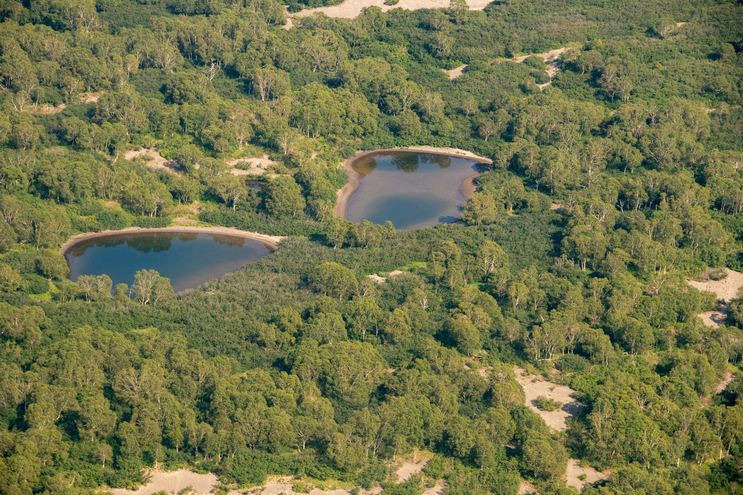 Камчатка. Наталия Фролова. Фотограф. Москва