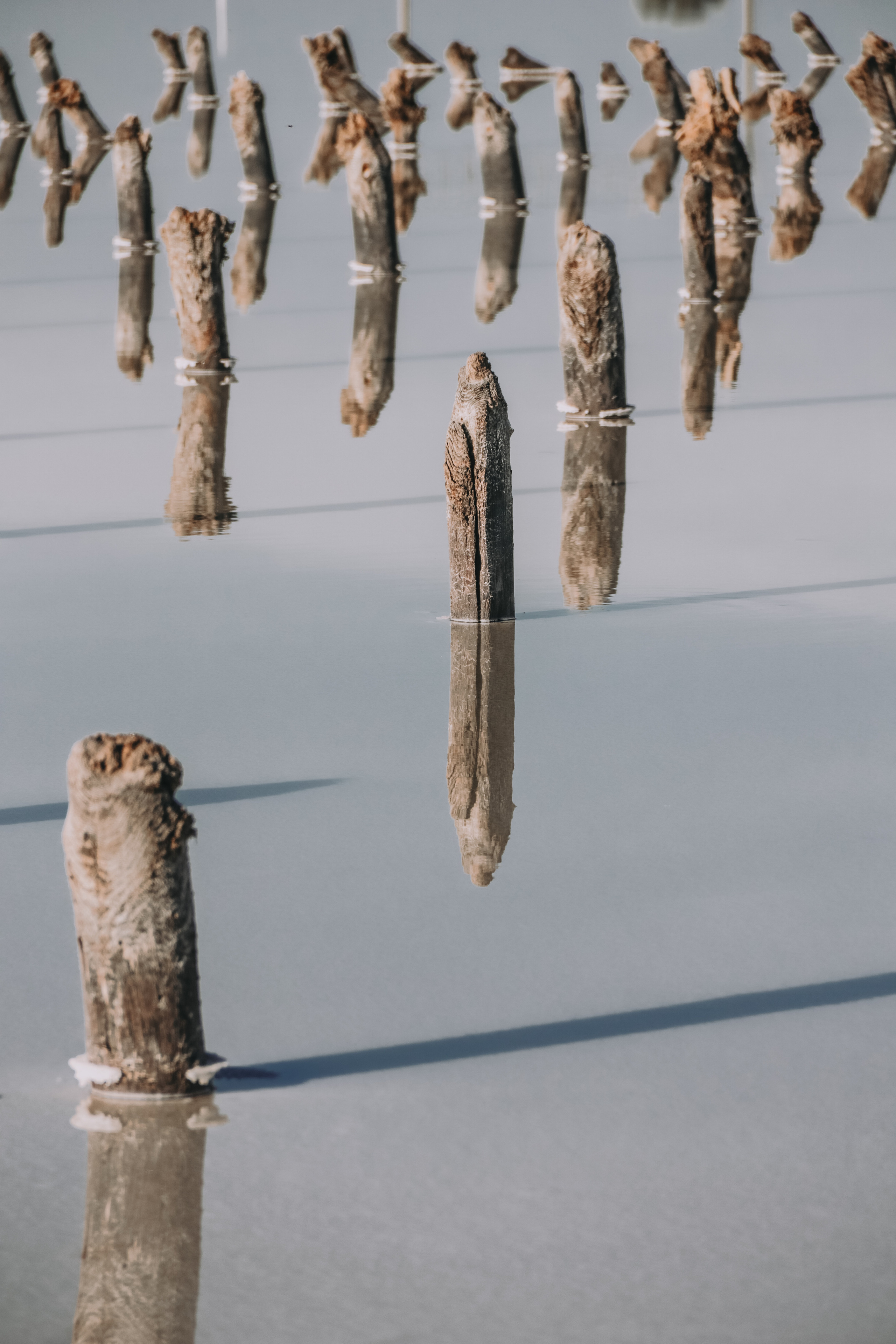 Калмыкия и Баскунчак. Наталия Фролова. Фотограф. Москва