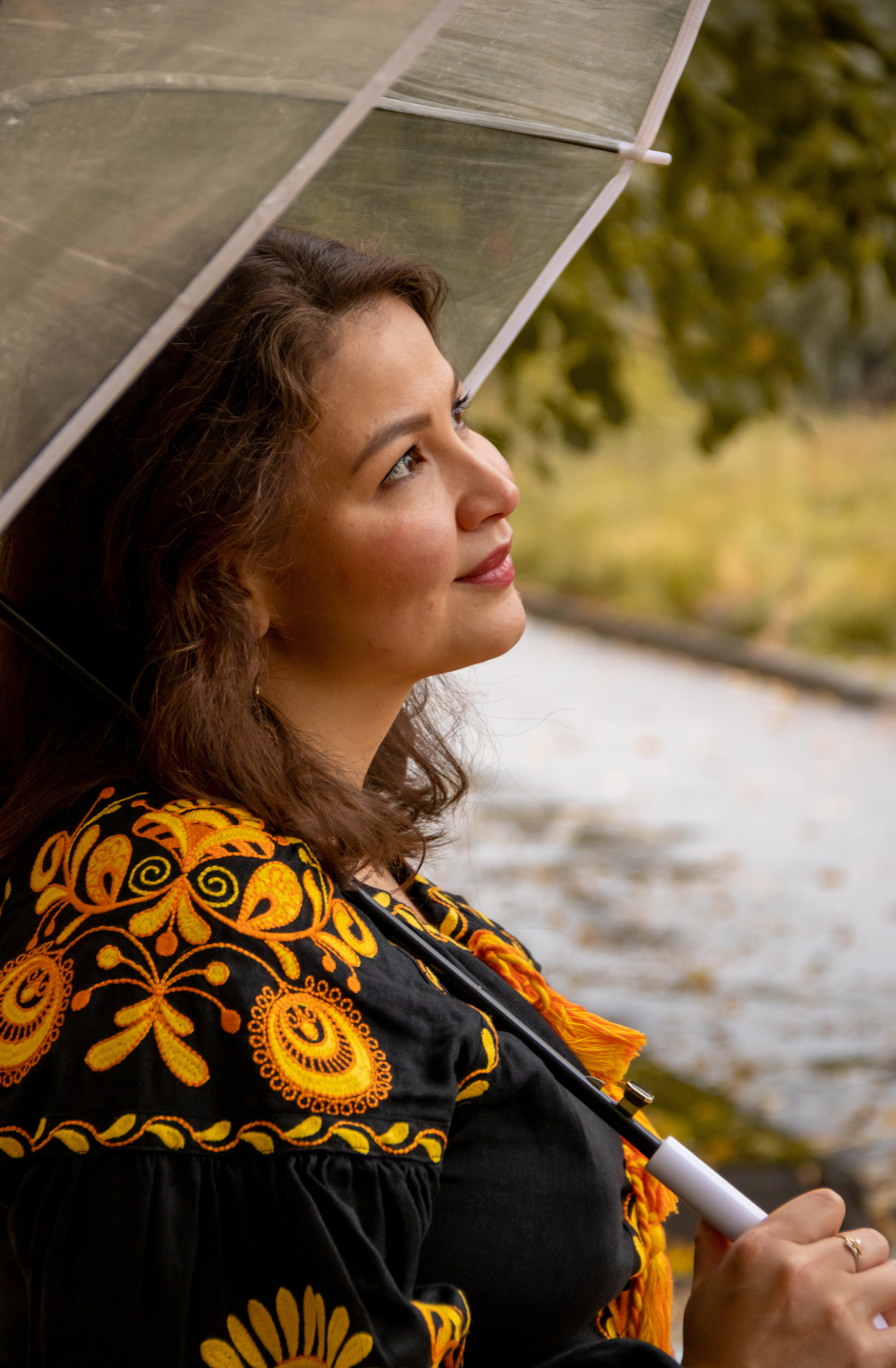 Золотая осень. Наталия Фролова. Фотограф. Москва