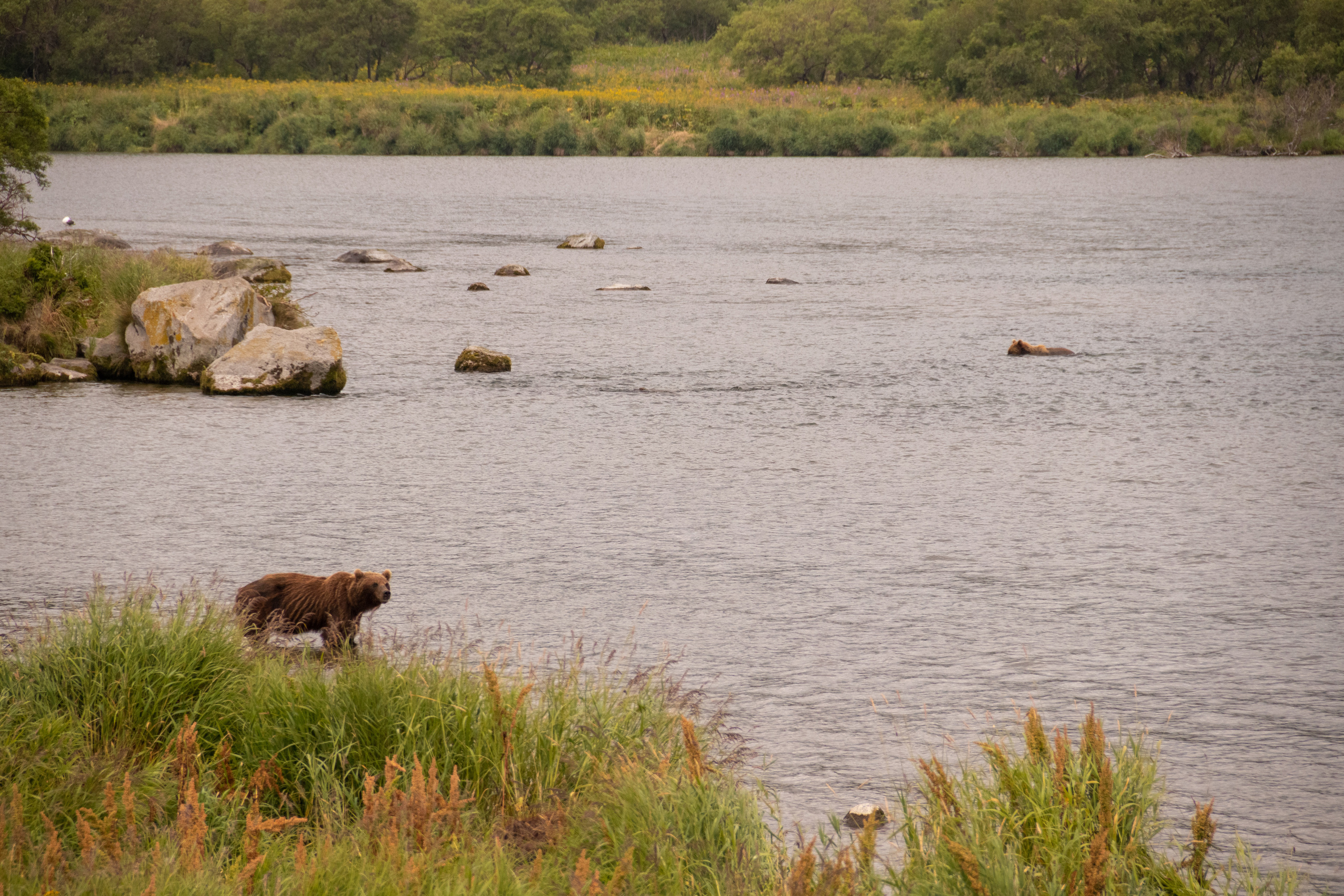 Камчатка. Наталия Фролова. Фотограф. Москва