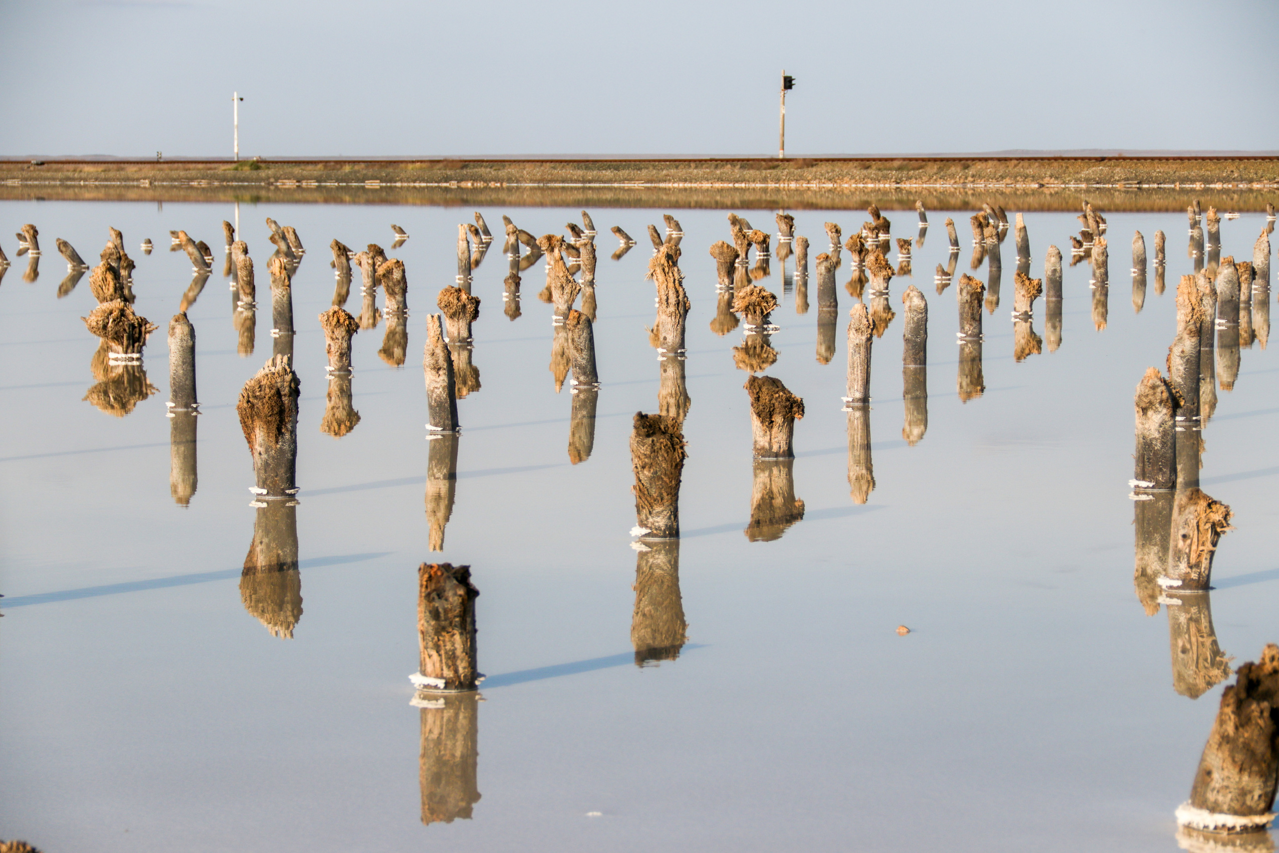 Калмыкия и Баскунчак. Наталия Фролова. Фотограф. Москва