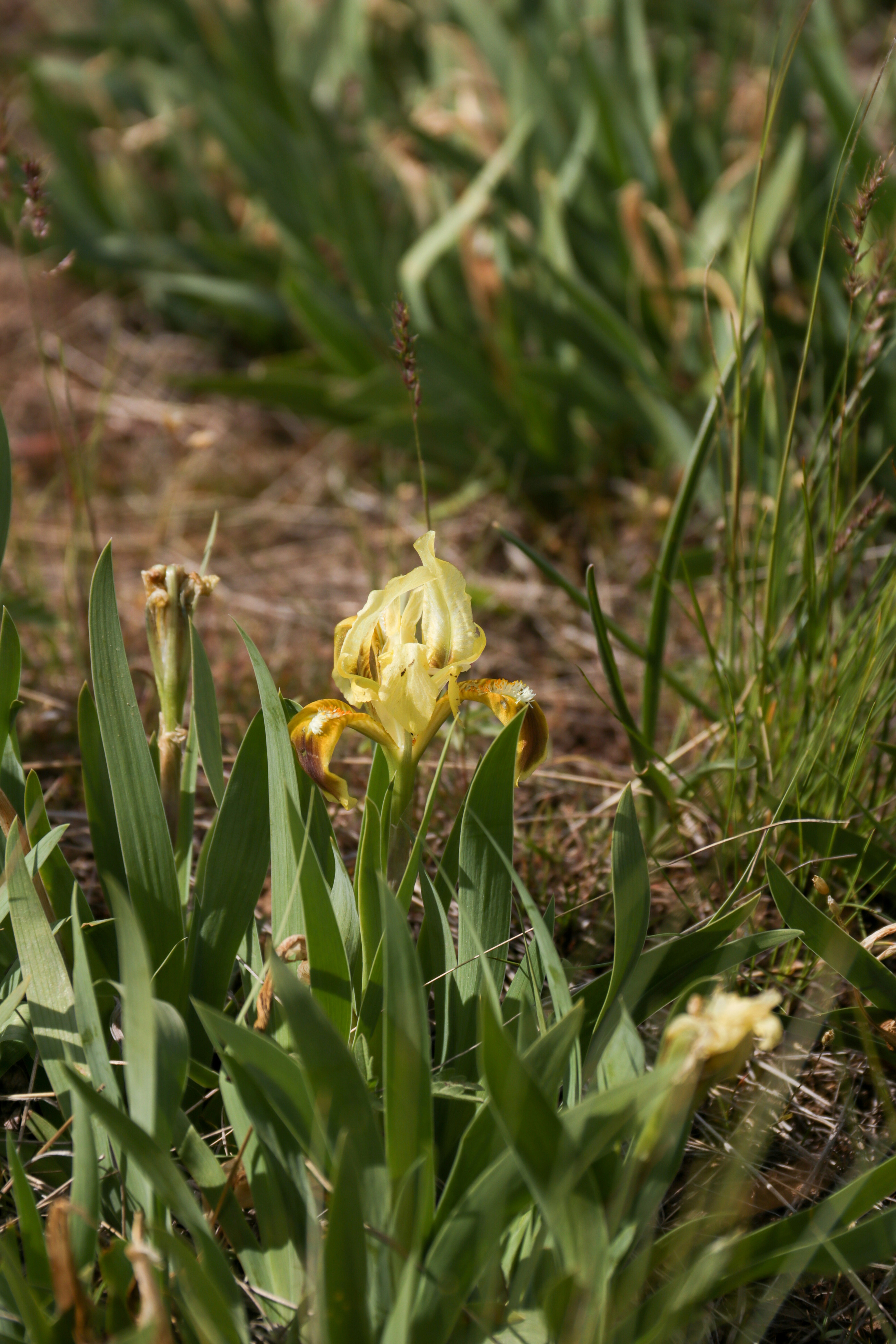 Калмыкия и Баскунчак. Наталия Фролова. Фотограф. Москва