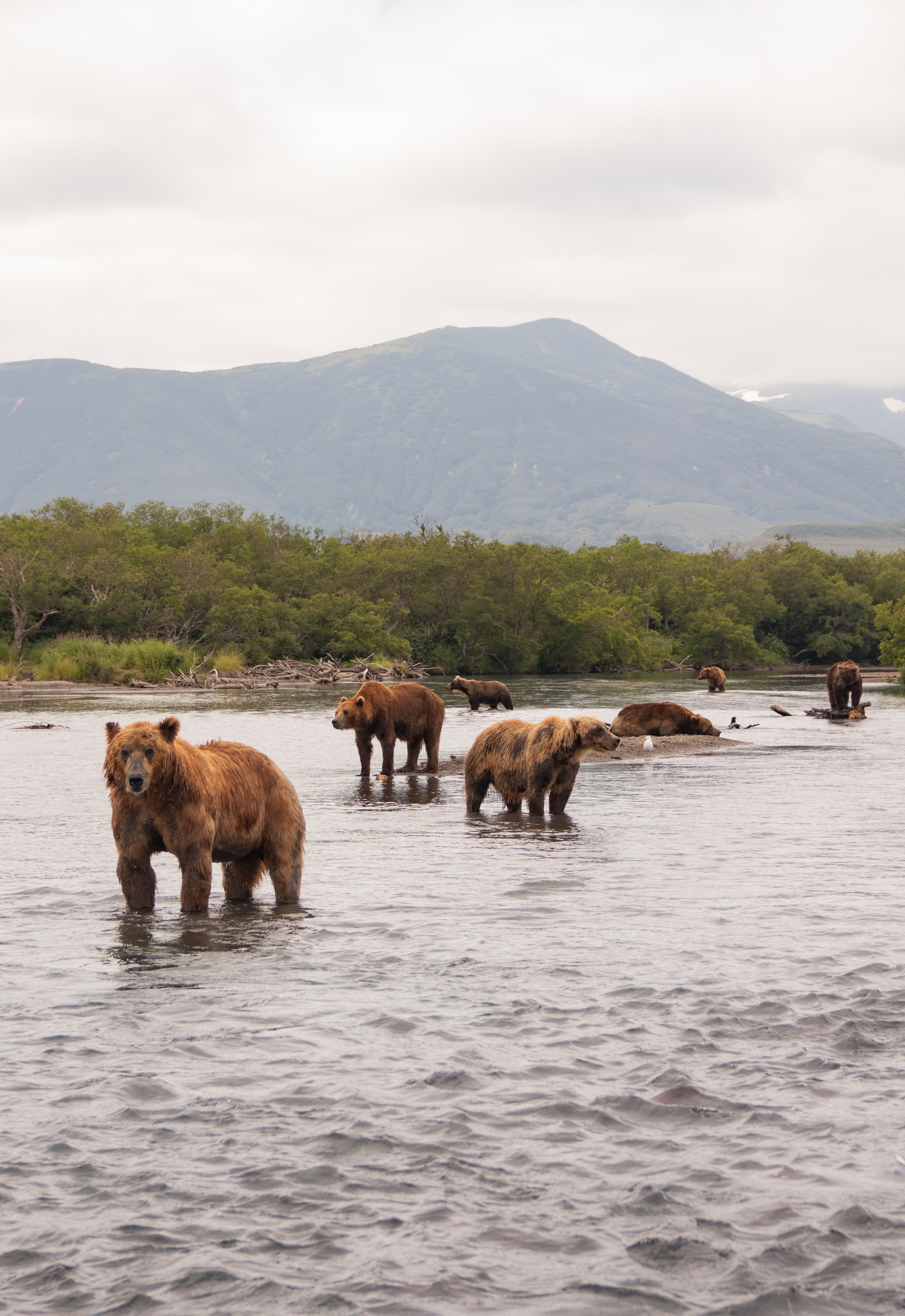 Камчатка. Наталия Фролова. Фотограф. Москва
