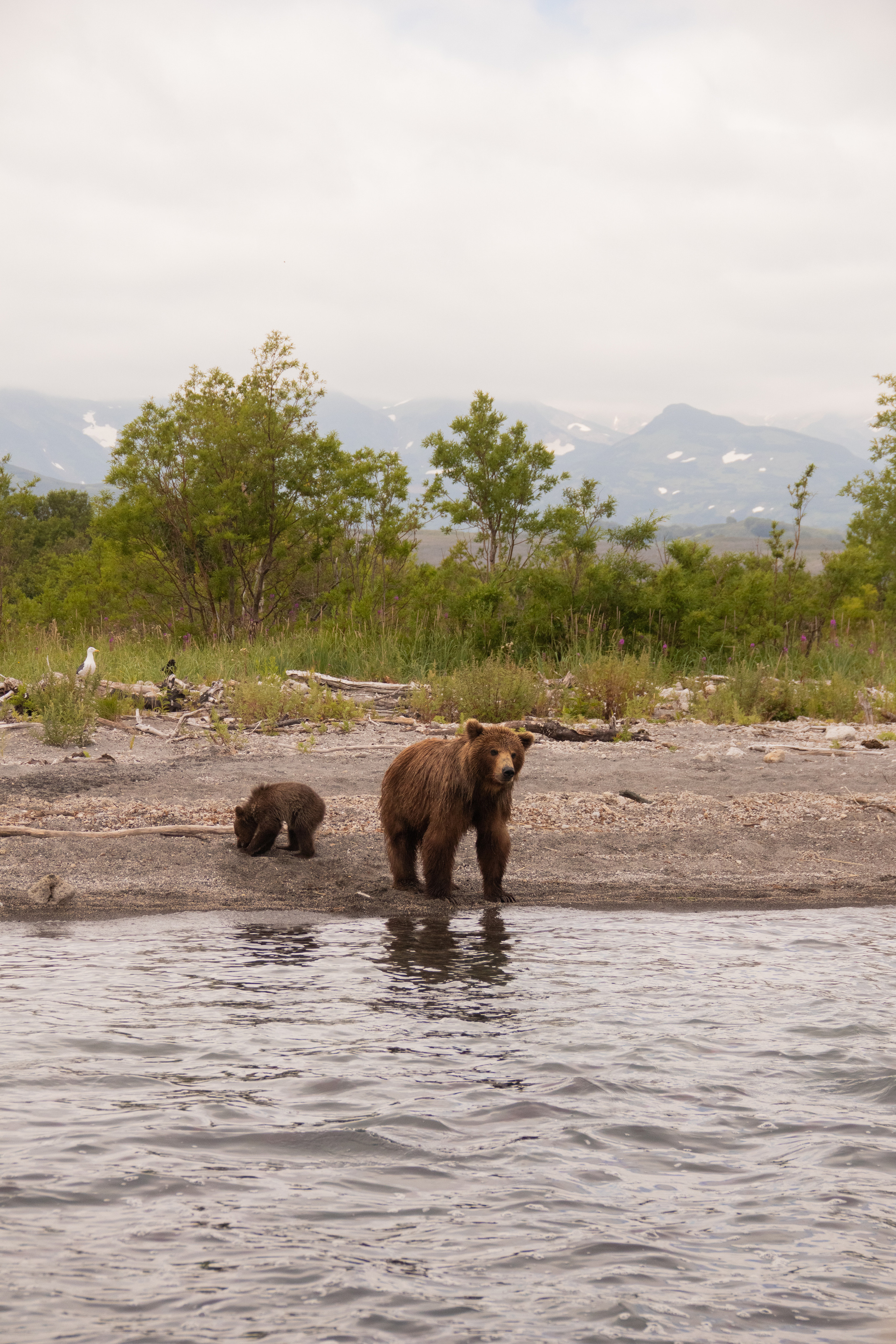 Камчатка. Наталия Фролова. Фотограф. Москва