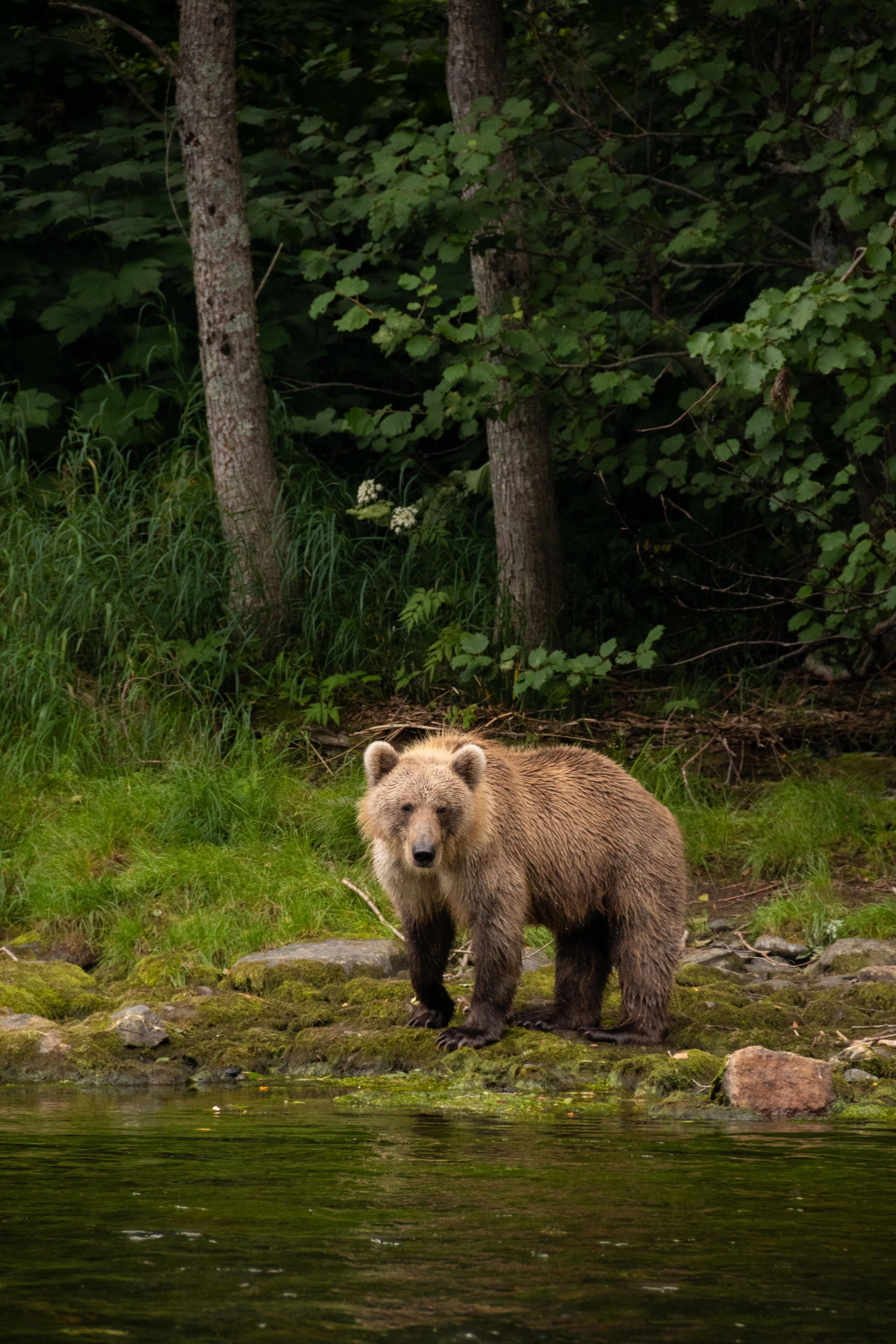 Камчатка. Наталия Фролова. Фотограф. Москва