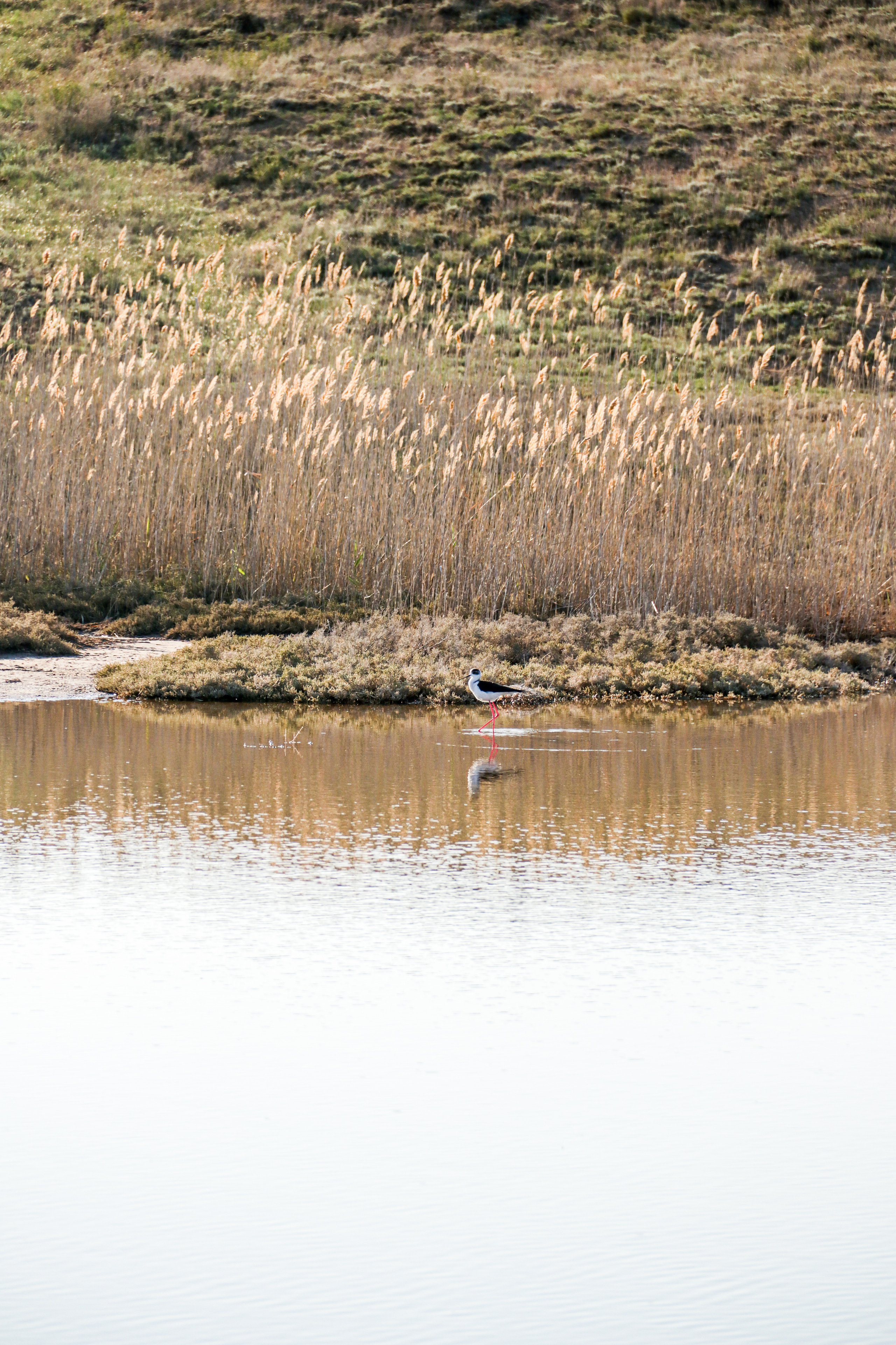 Калмыкия и Баскунчак. Наталия Фролова. Фотограф. Москва