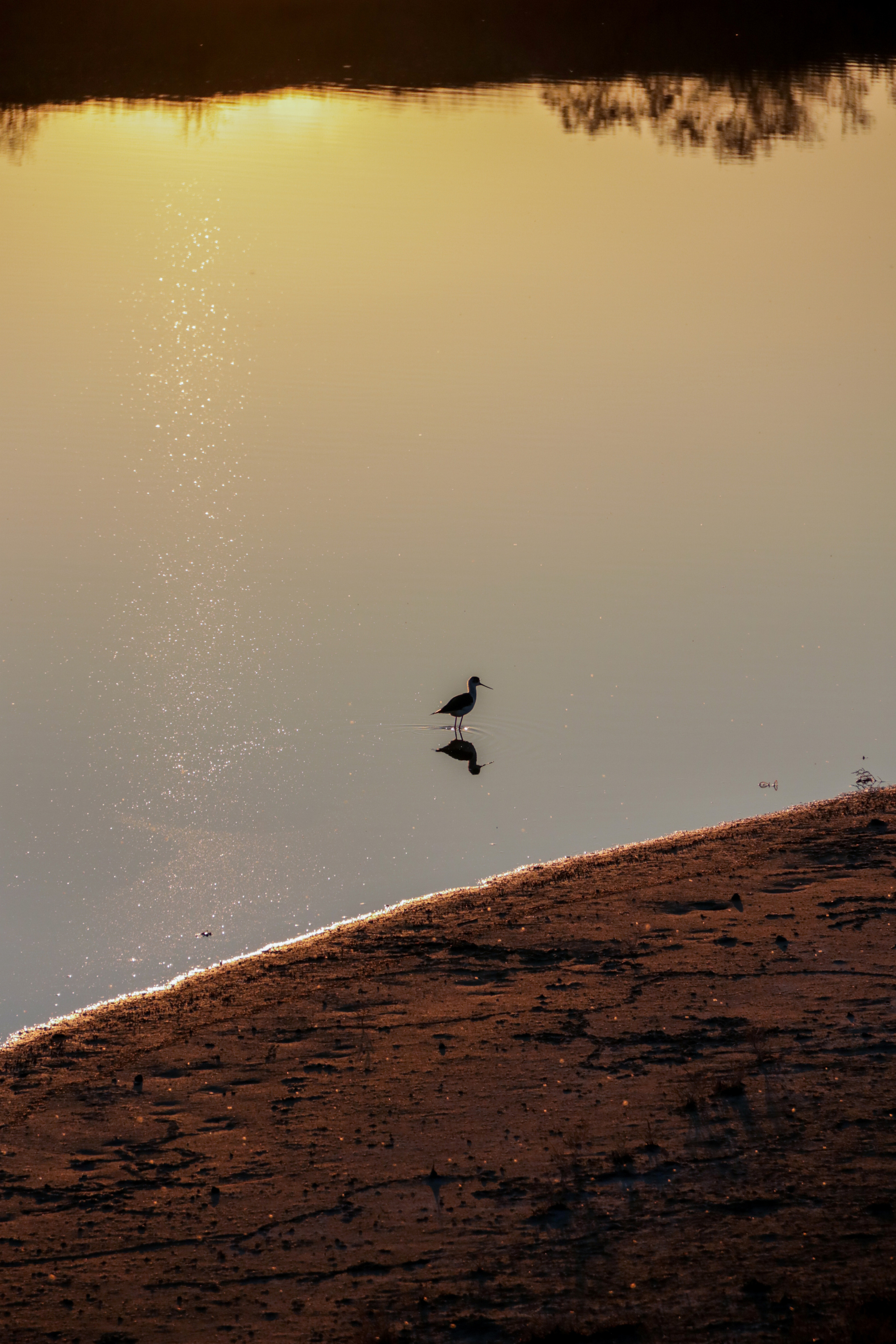 Калмыкия и Баскунчак. Наталия Фролова. Фотограф. Москва