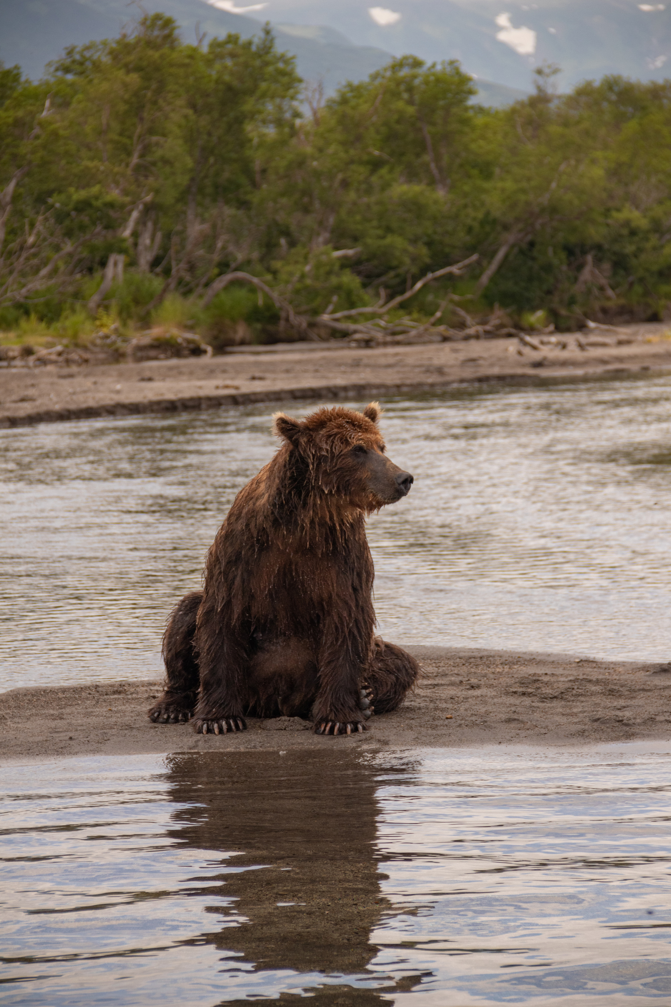 Камчатка. Наталия Фролова. Фотограф. Москва