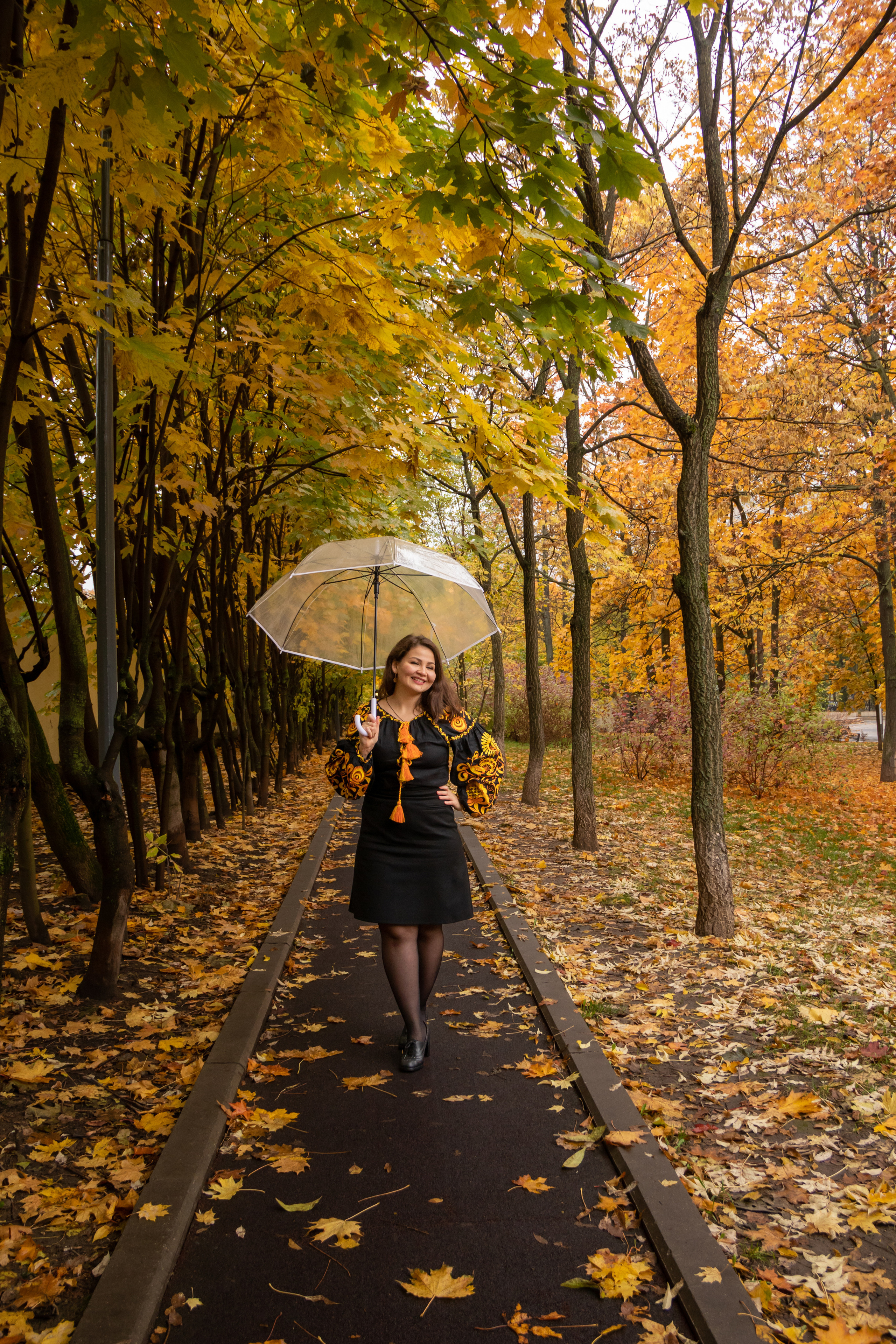 Золотая осень. Наталия Фролова. Фотограф. Москва