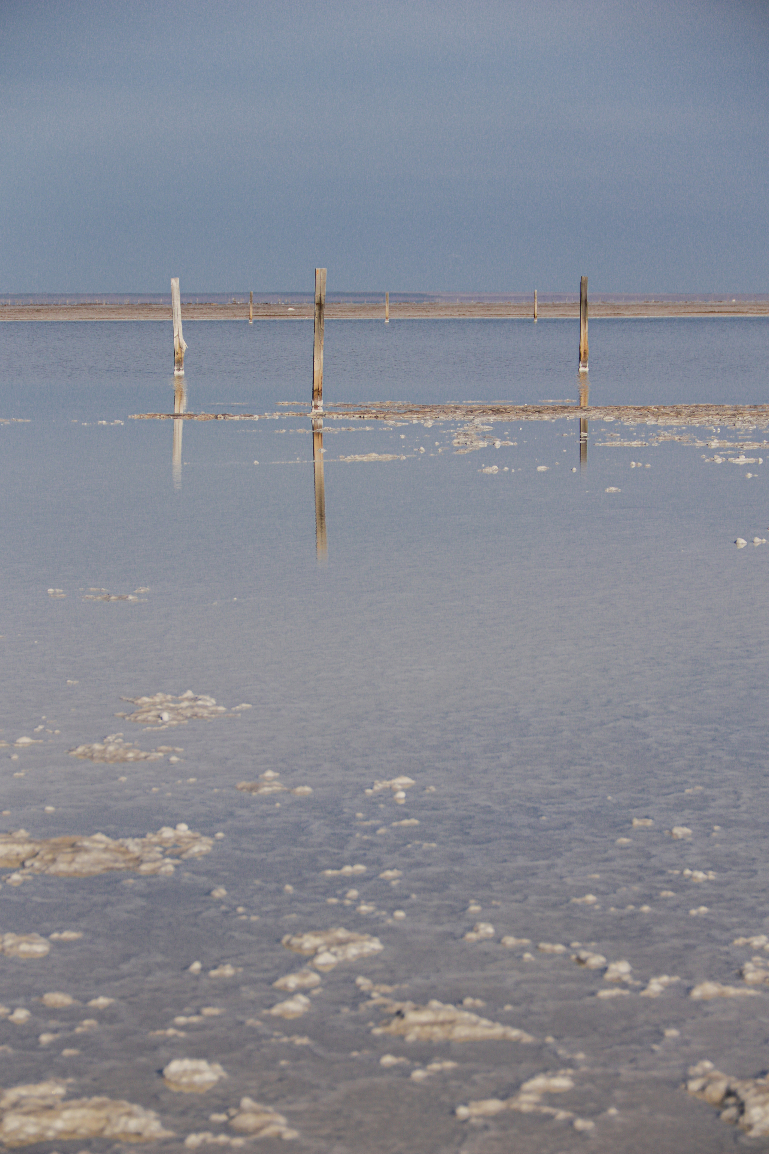 Калмыкия и Баскунчак. Наталия Фролова. Фотограф. Москва