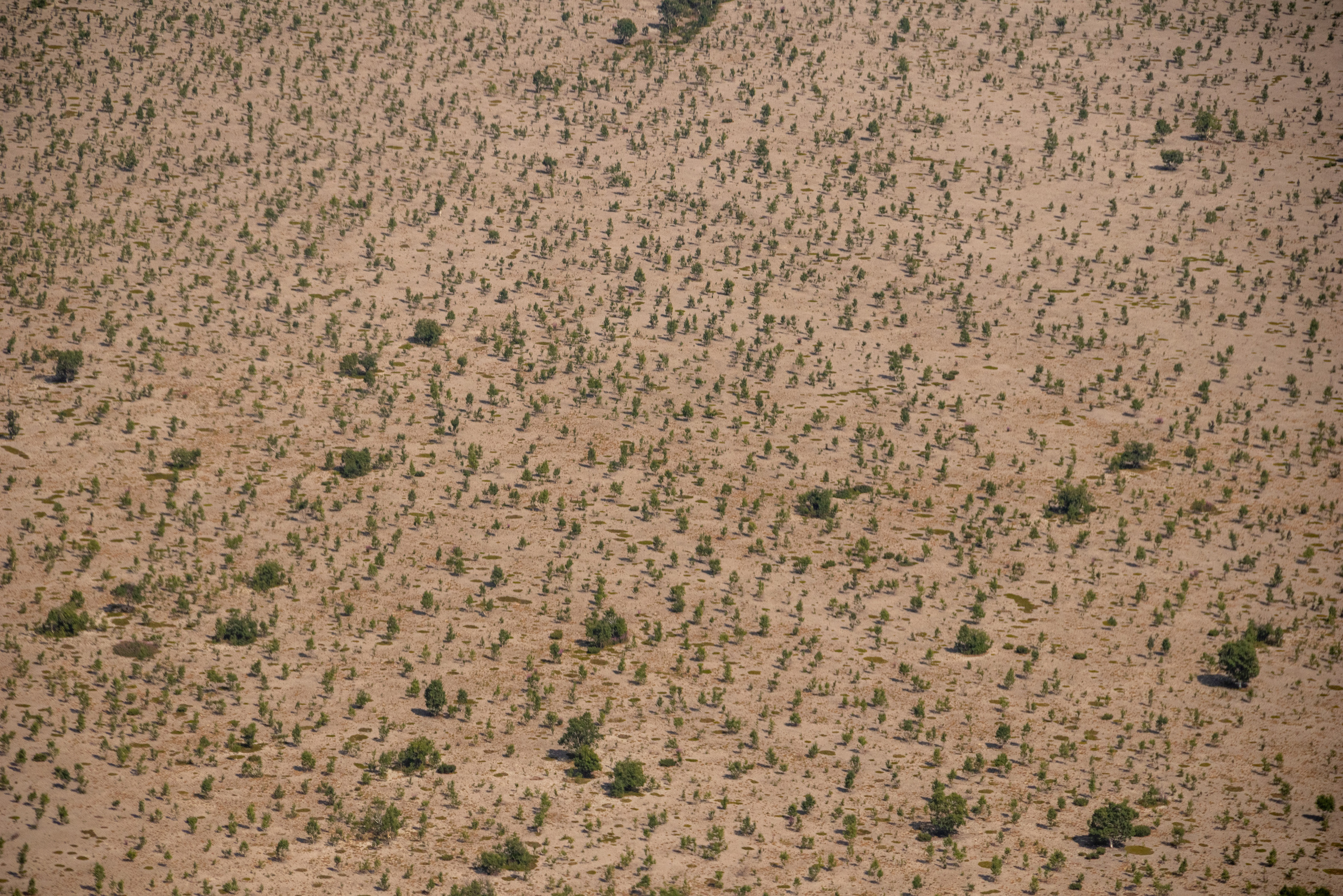 Камчатка. Наталия Фролова. Фотограф. Москва