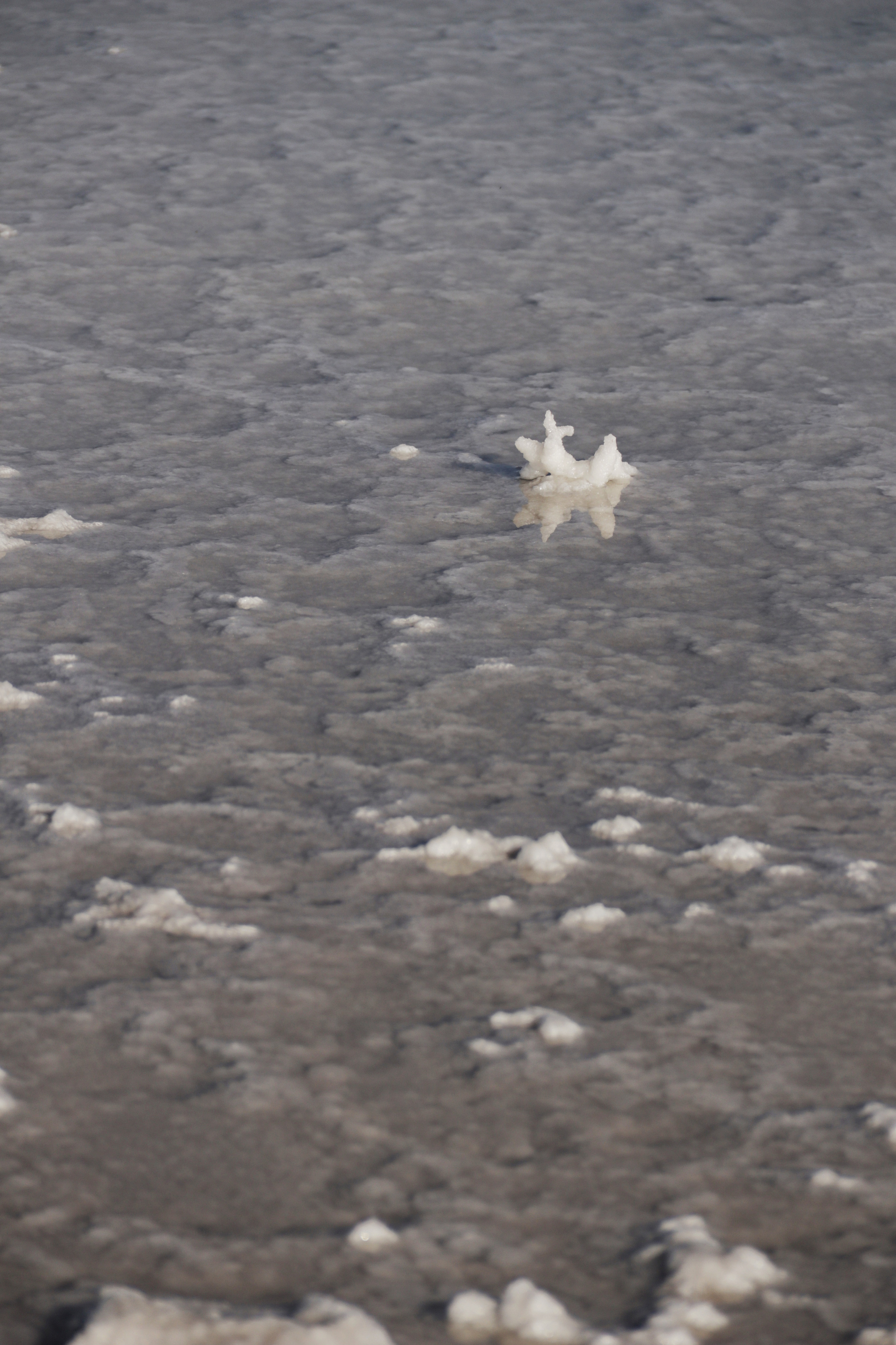 Калмыкия и Баскунчак. Наталия Фролова. Фотограф. Москва