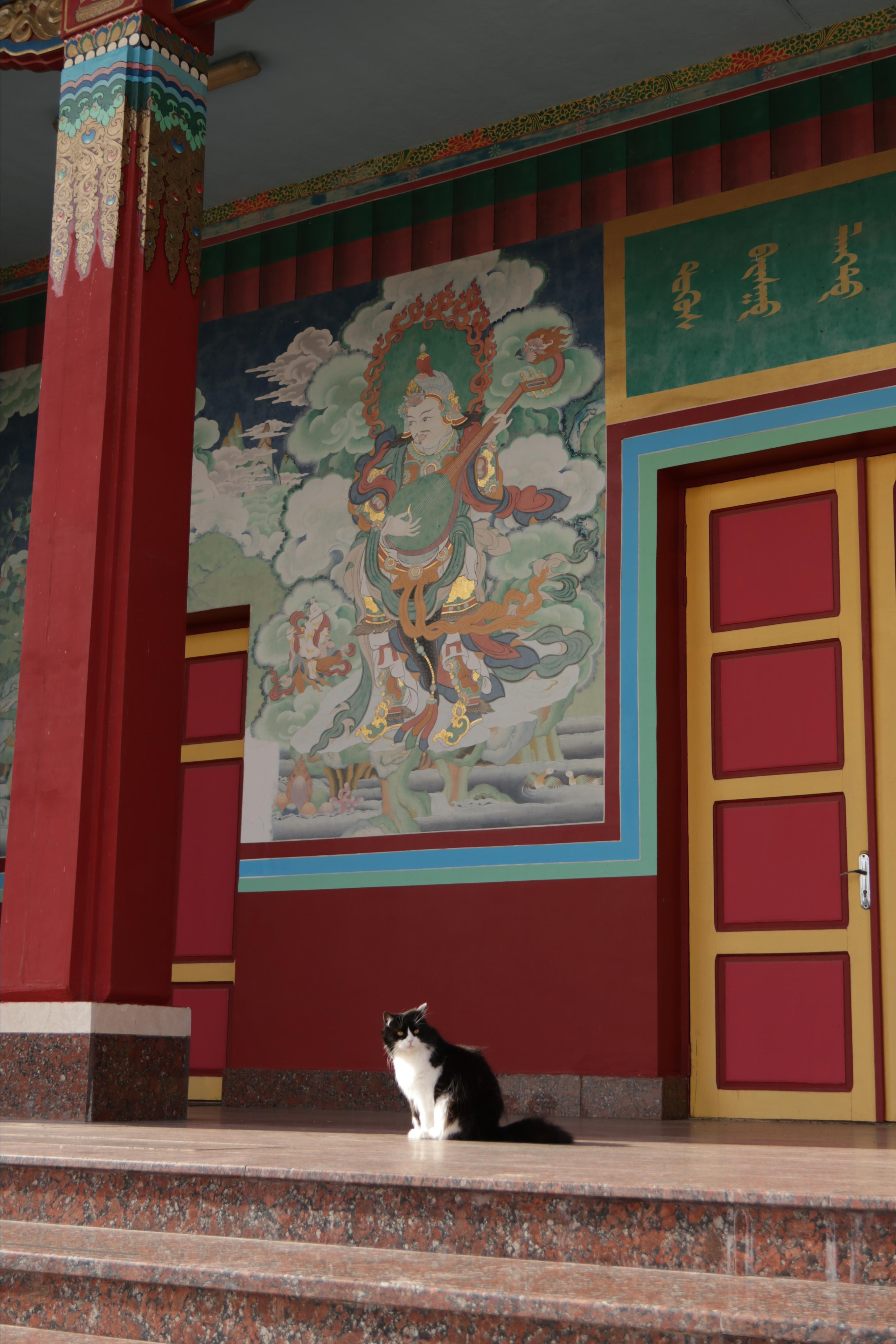 Калмыкия и Баскунчак. Наталия Фролова. Фотограф. Москва