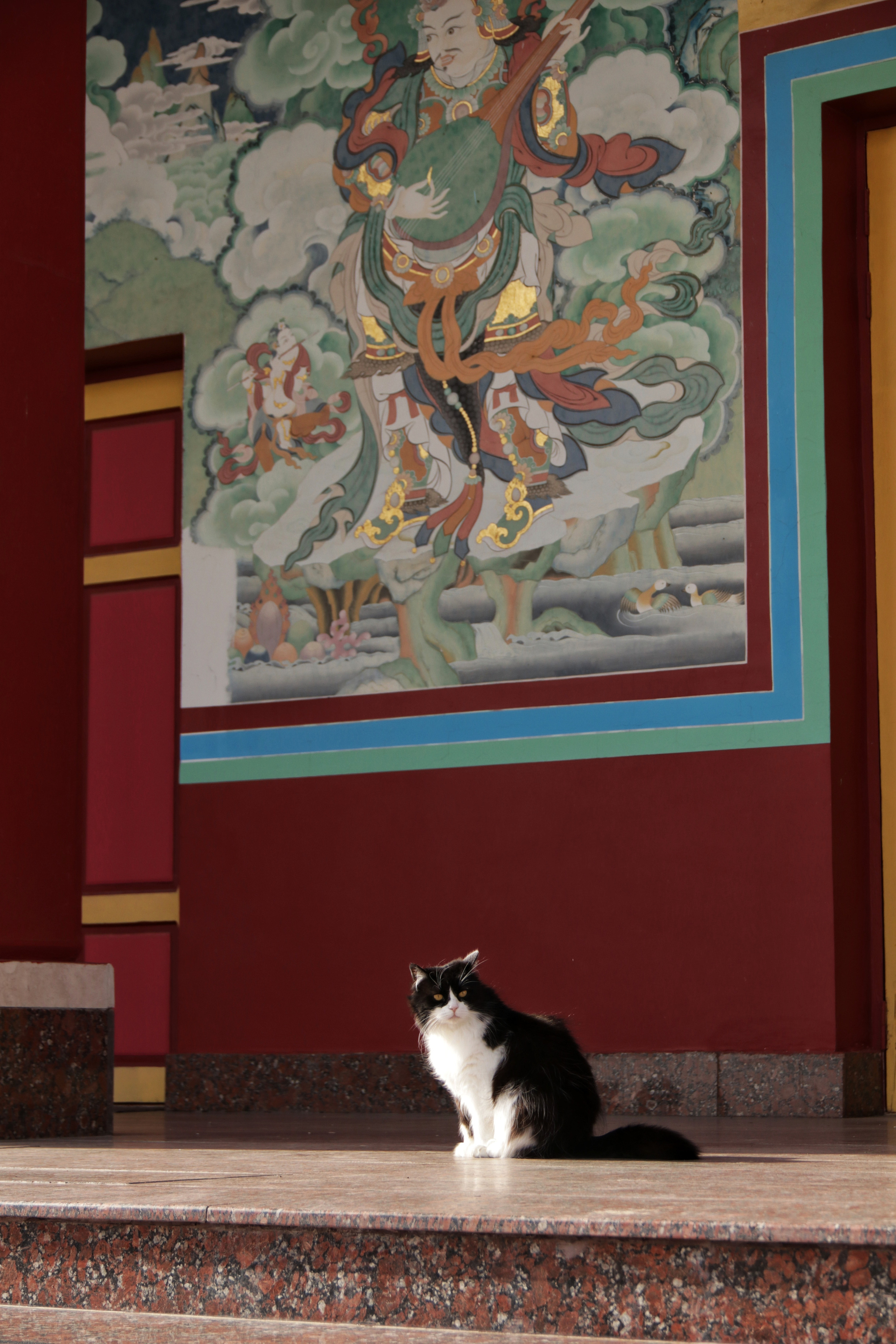 Калмыкия и Баскунчак. Наталия Фролова. Фотограф. Москва