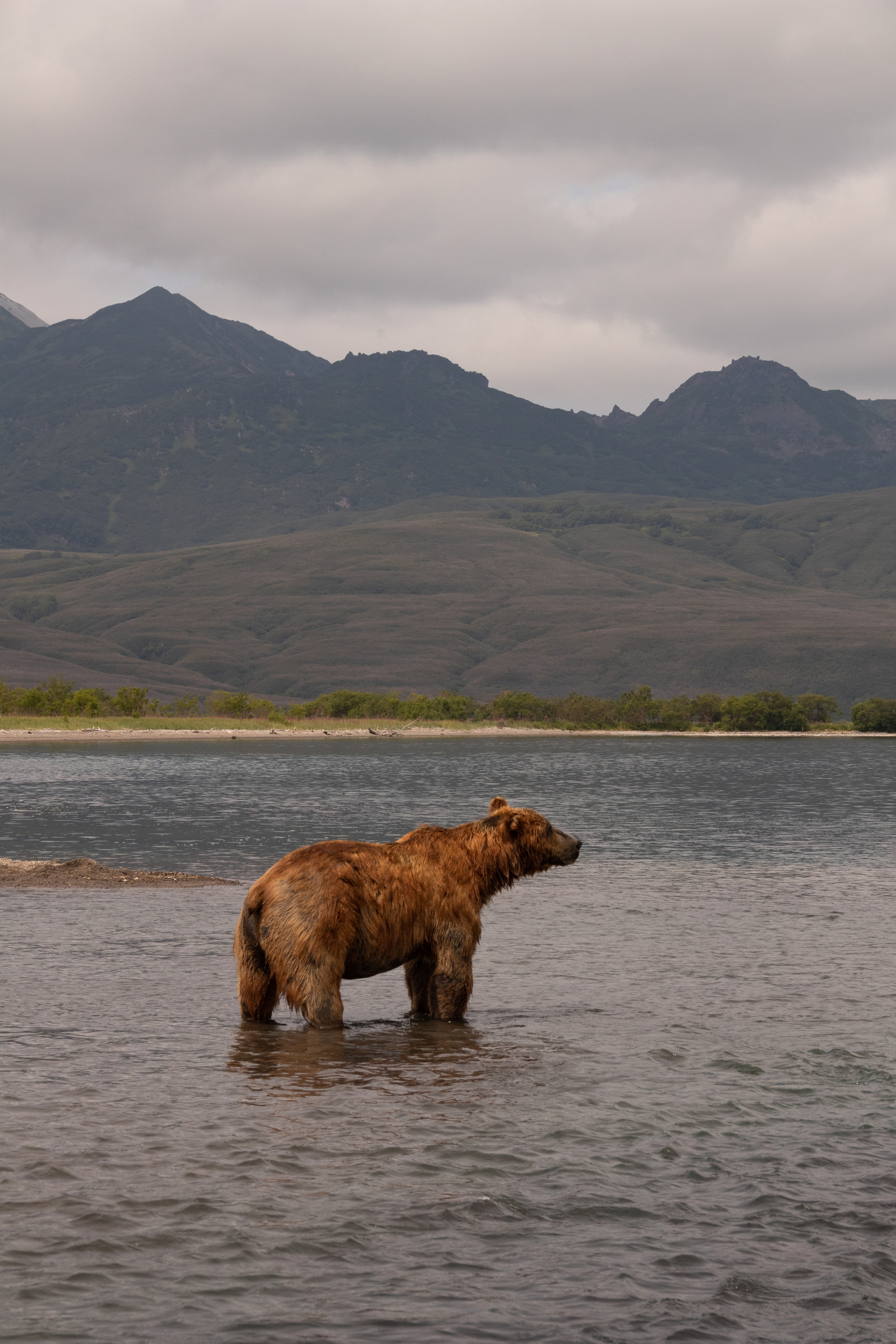 Камчатка. Наталия Фролова. Фотограф. Москва