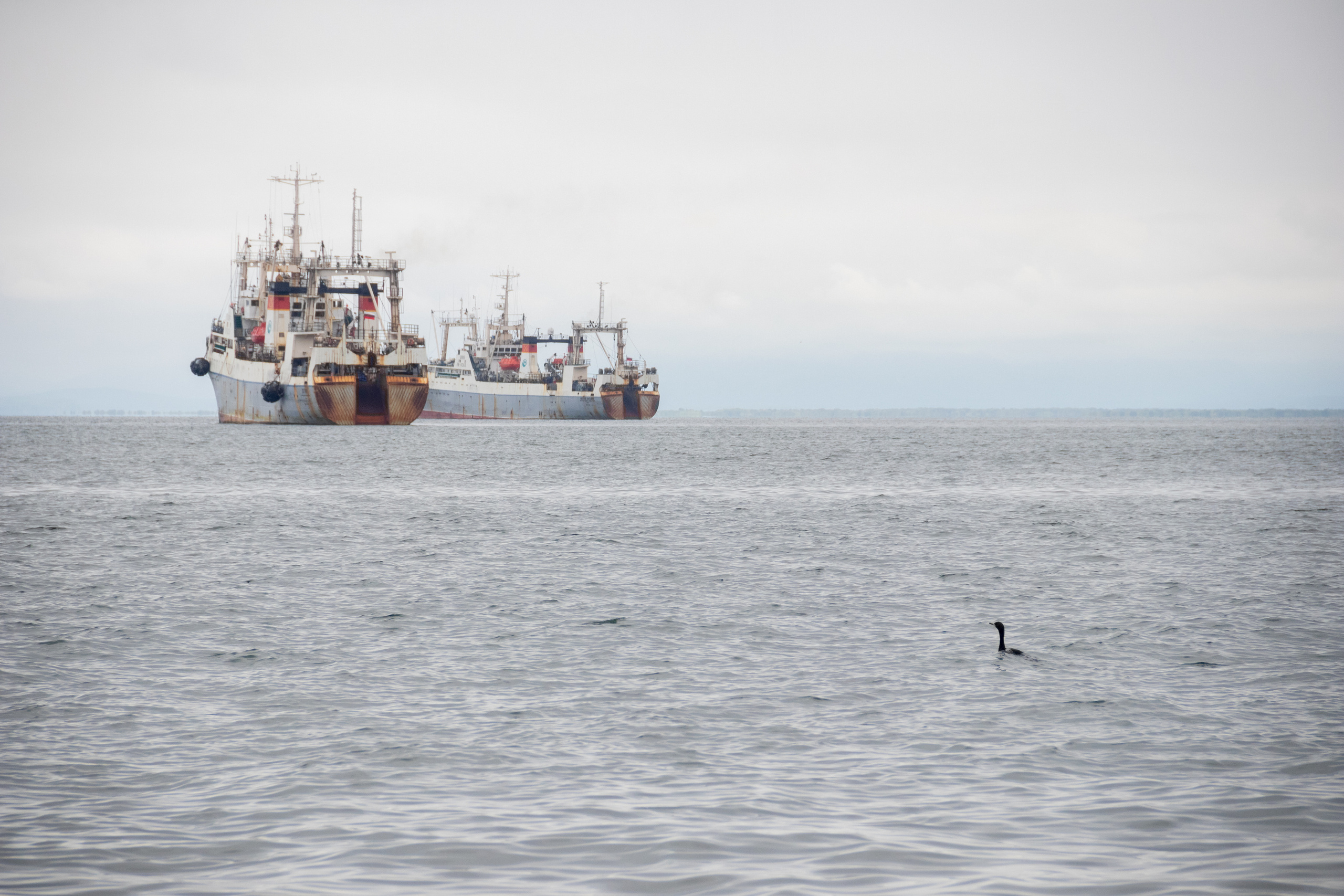 Камчатка. Наталия Фролова. Фотограф. Москва