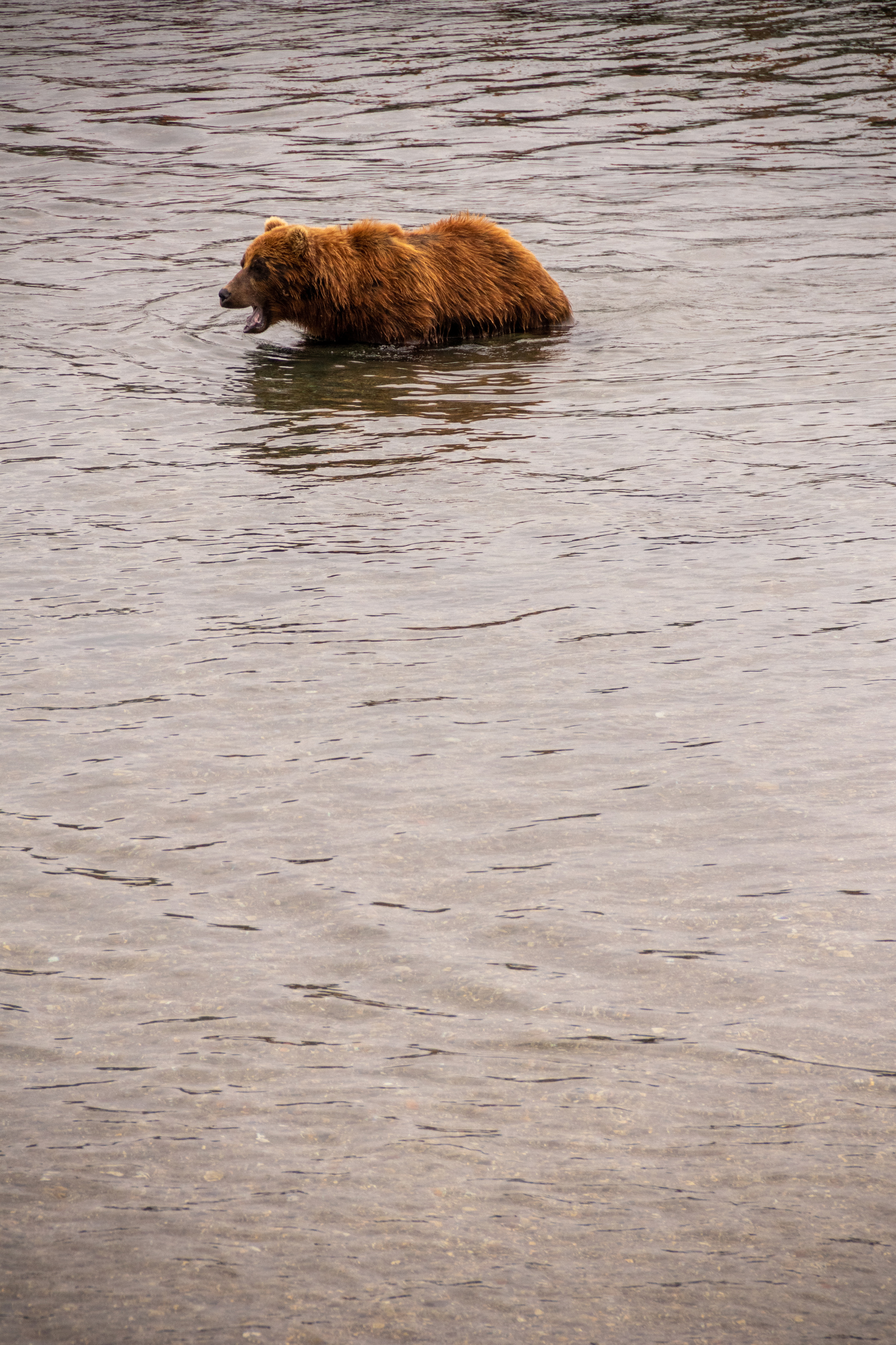 Камчатка. Наталия Фролова. Фотограф. Москва
