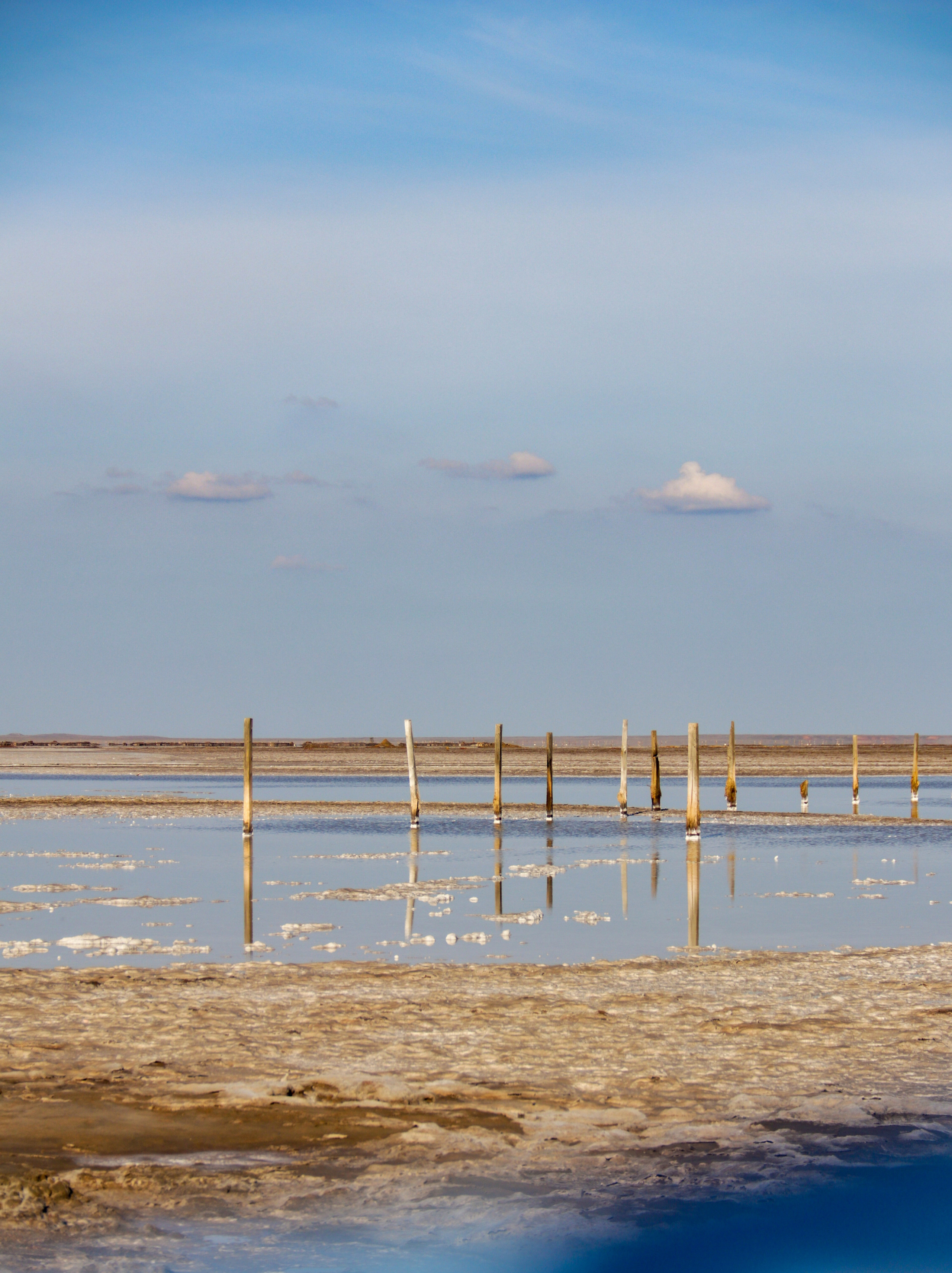 Калмыкия и Баскунчак. Наталия Фролова. Фотограф. Москва