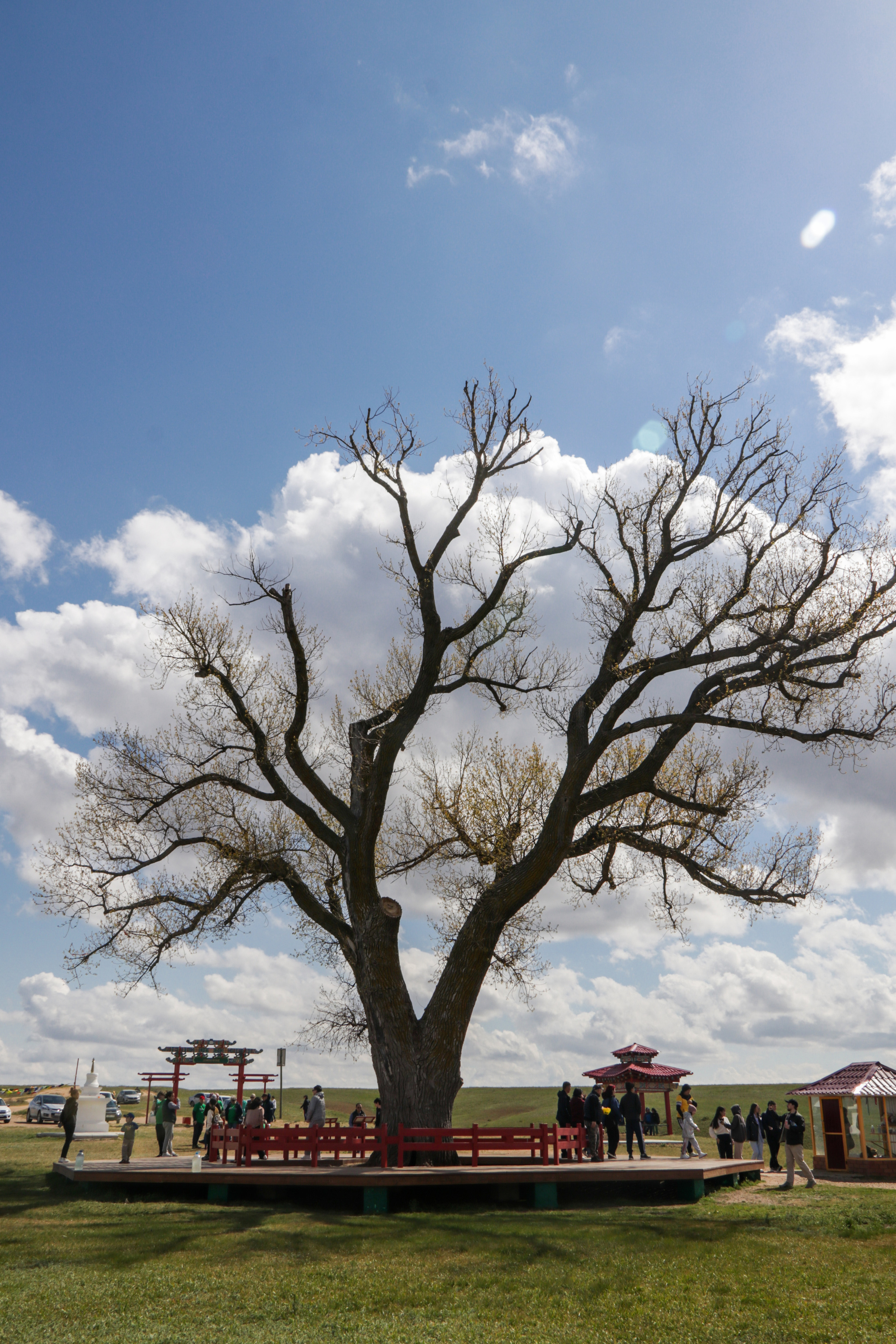 Калмыкия и Баскунчак. Наталия Фролова. Фотограф. Москва