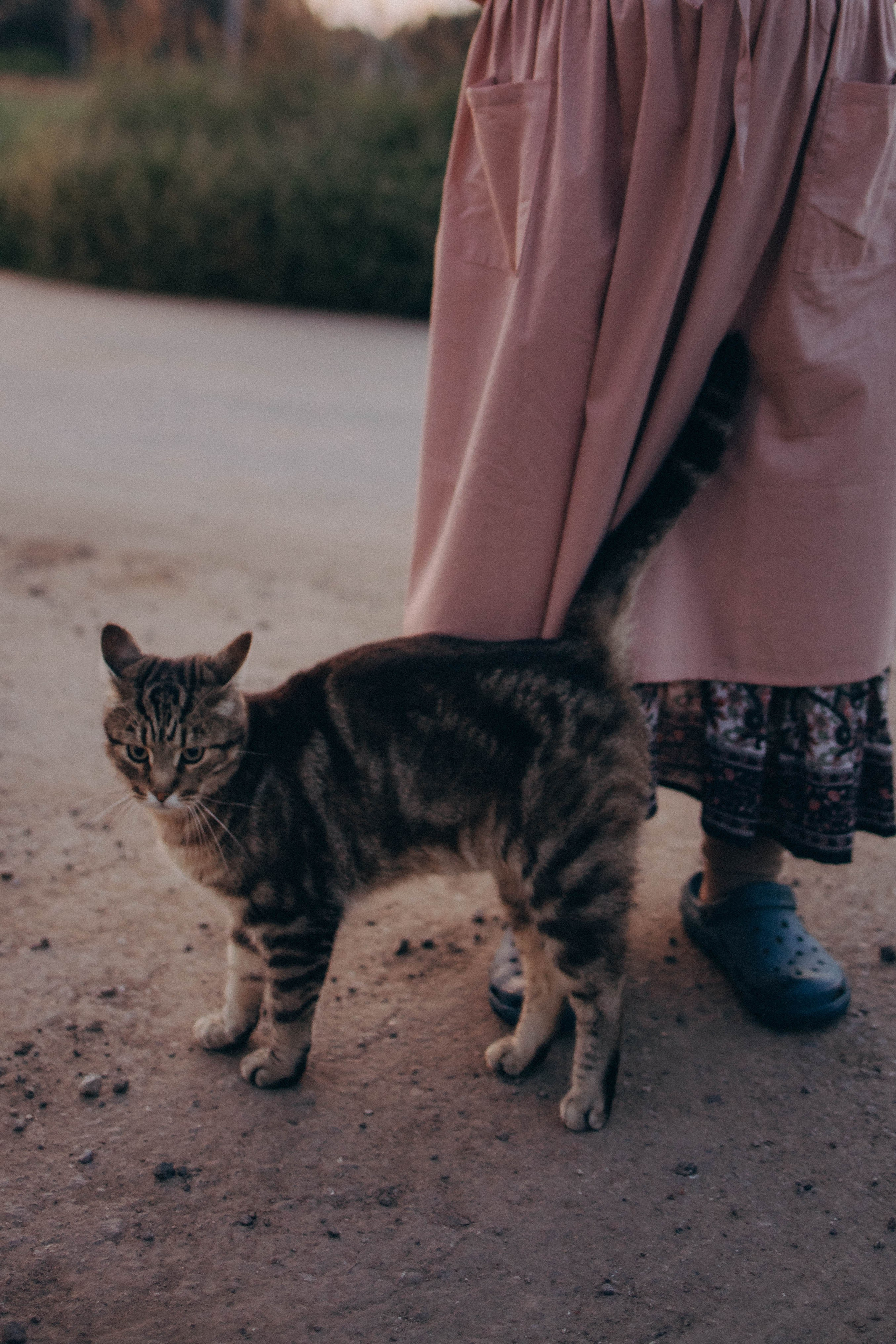 Одним летним днем. Фотограф lifestylе в Москве Пшеничная Анастасия