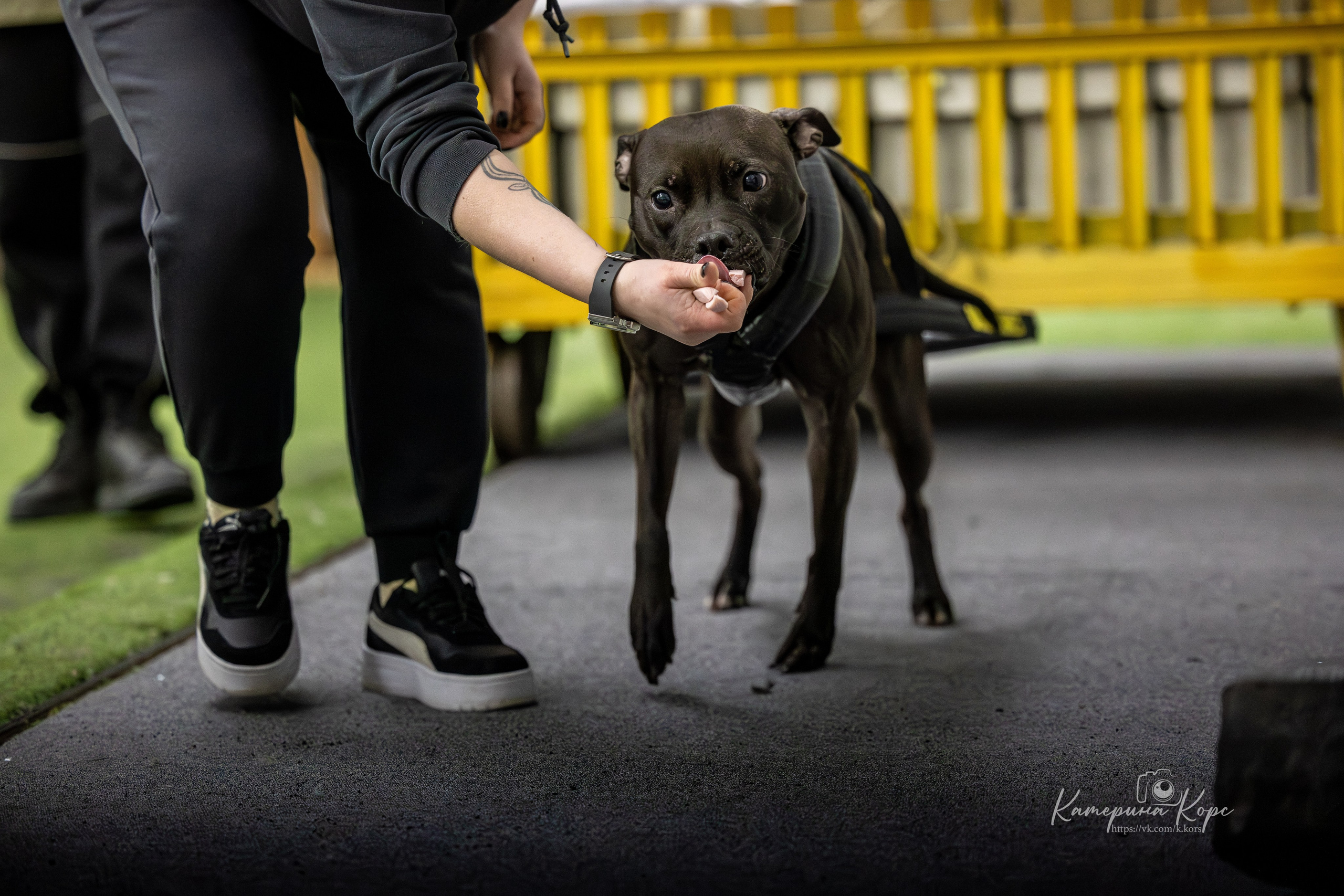 Спорт. Главная