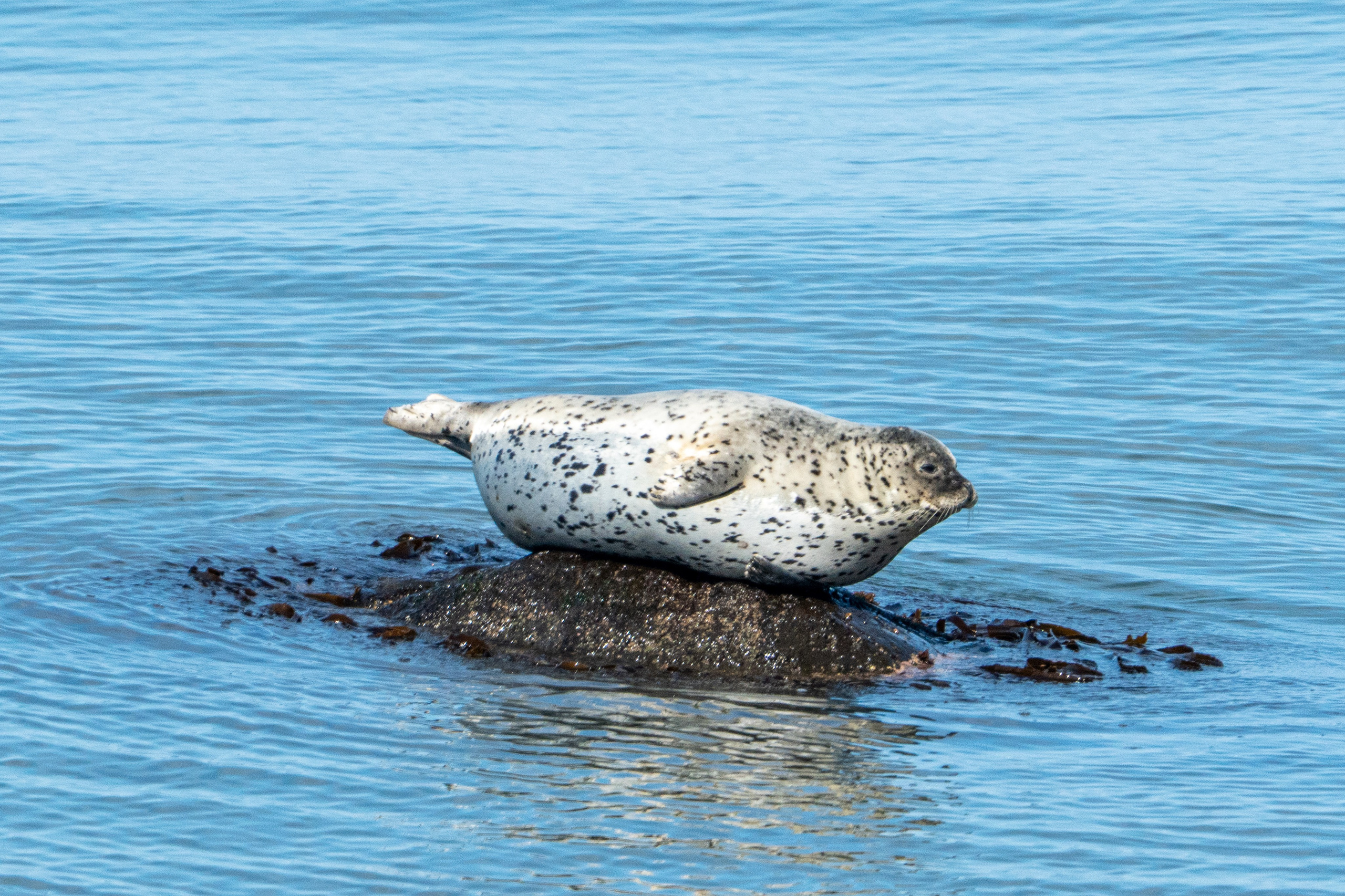 Сахалин 2025. Творческие сьемки