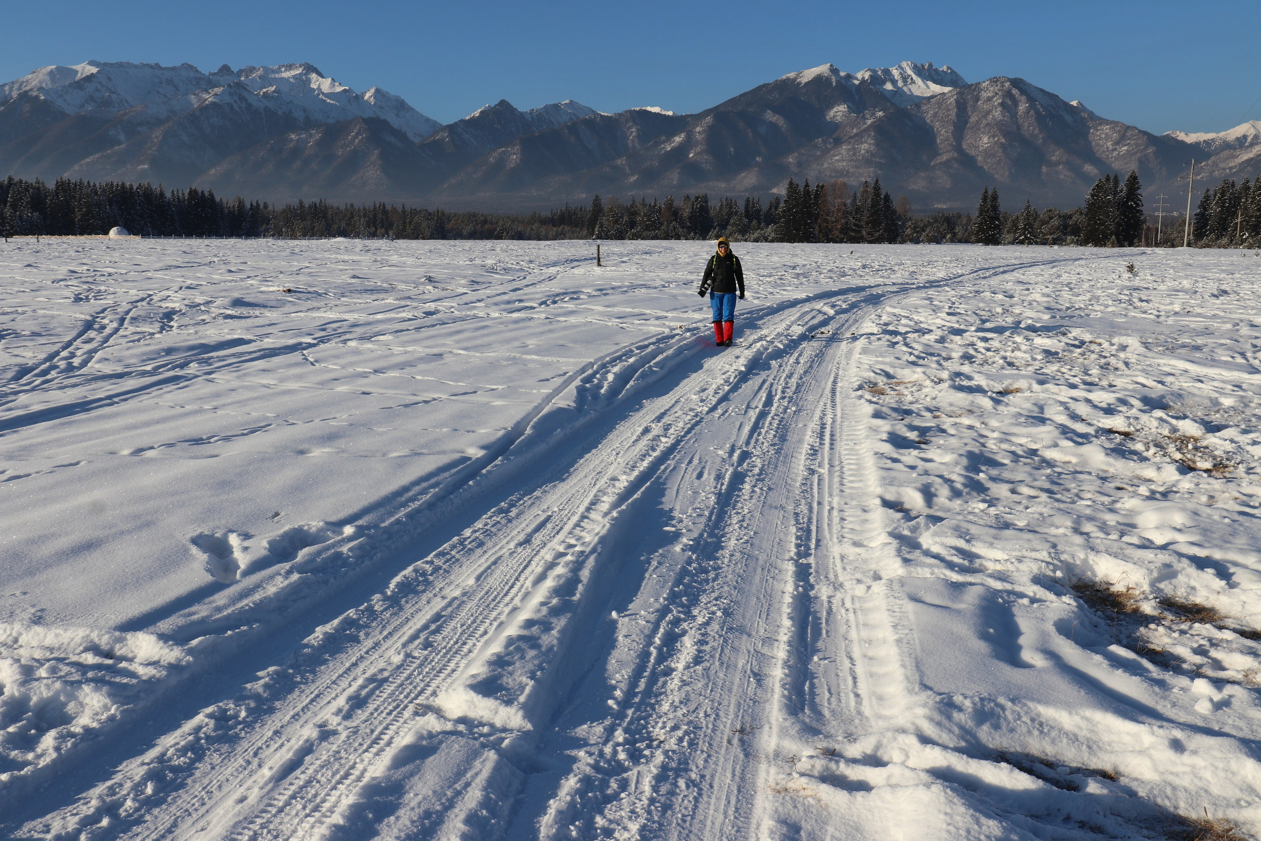 Аршан. Январь 2022. Путешественник-фотограф из Санкт-Петербурга Татьяна Свистулина