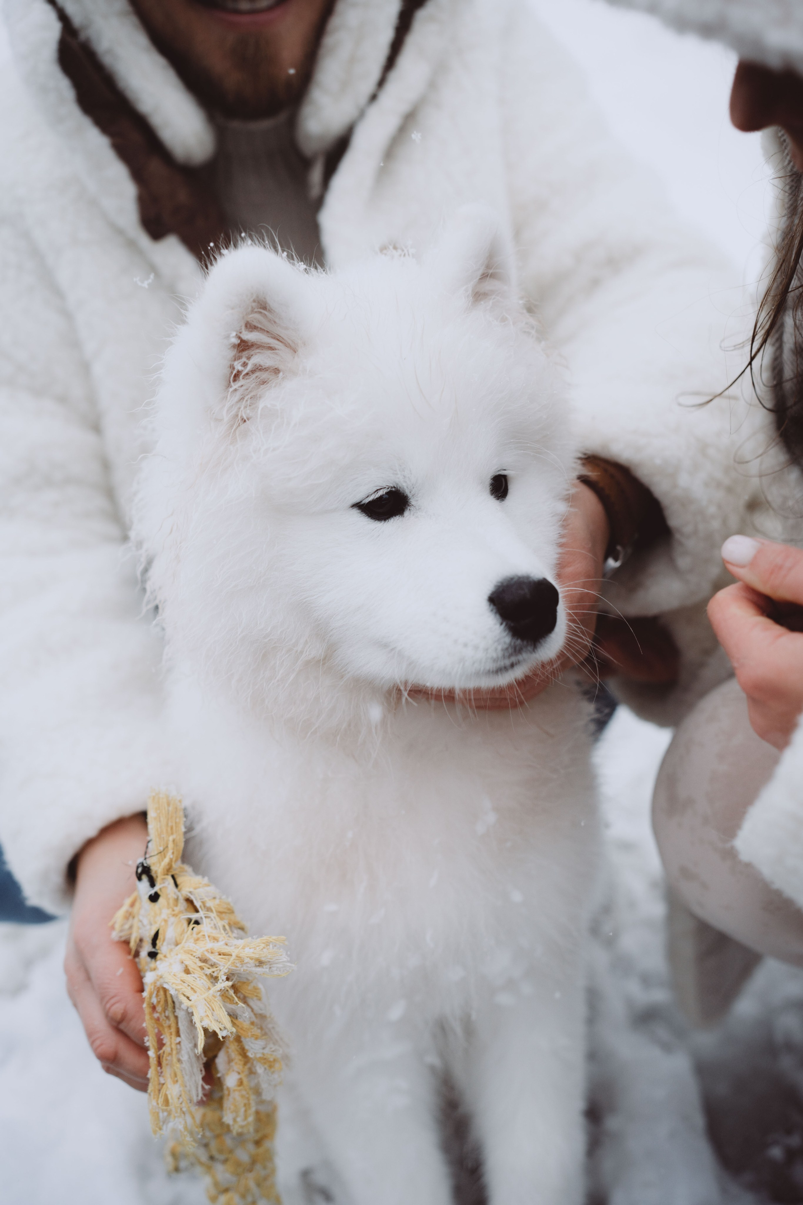 Антон, Дарья и Шани. Фотограф в Сочи Щетинина Анастасия