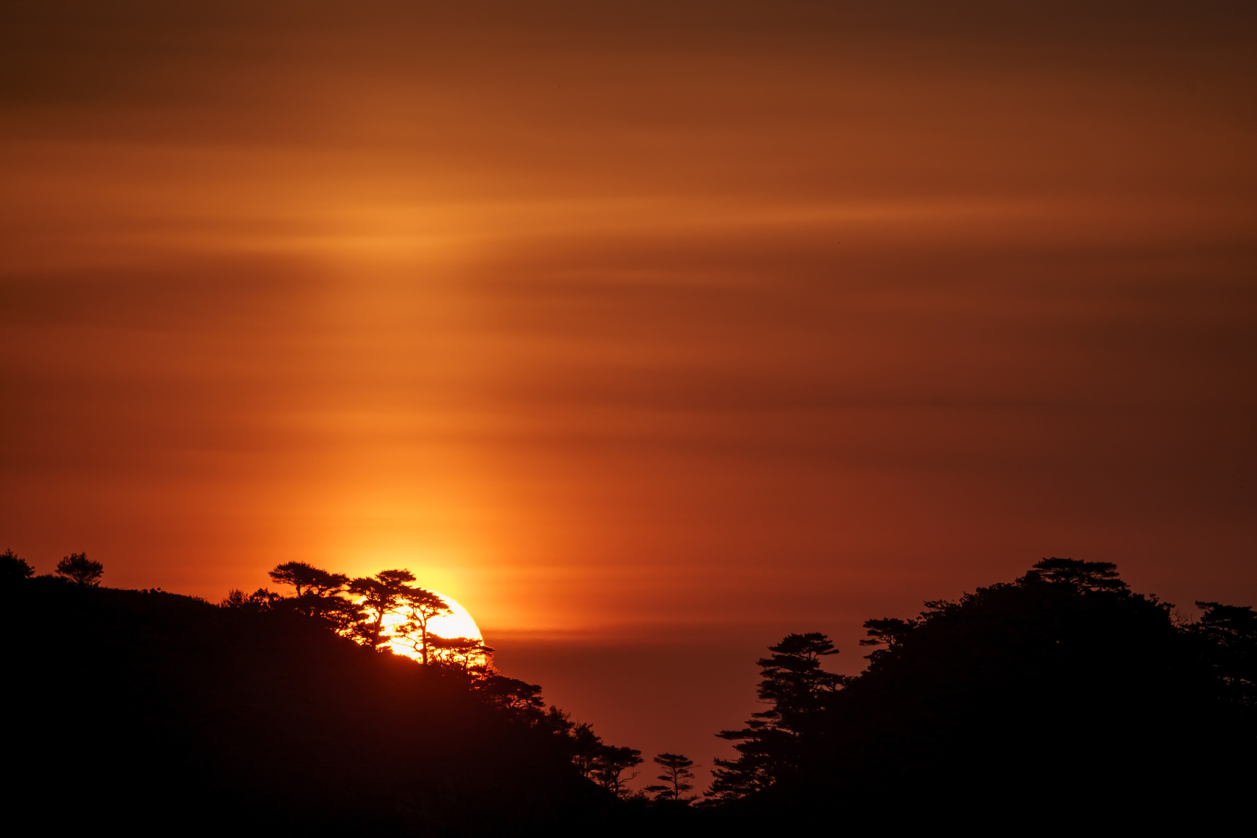 Весеннее Приморье. Май
