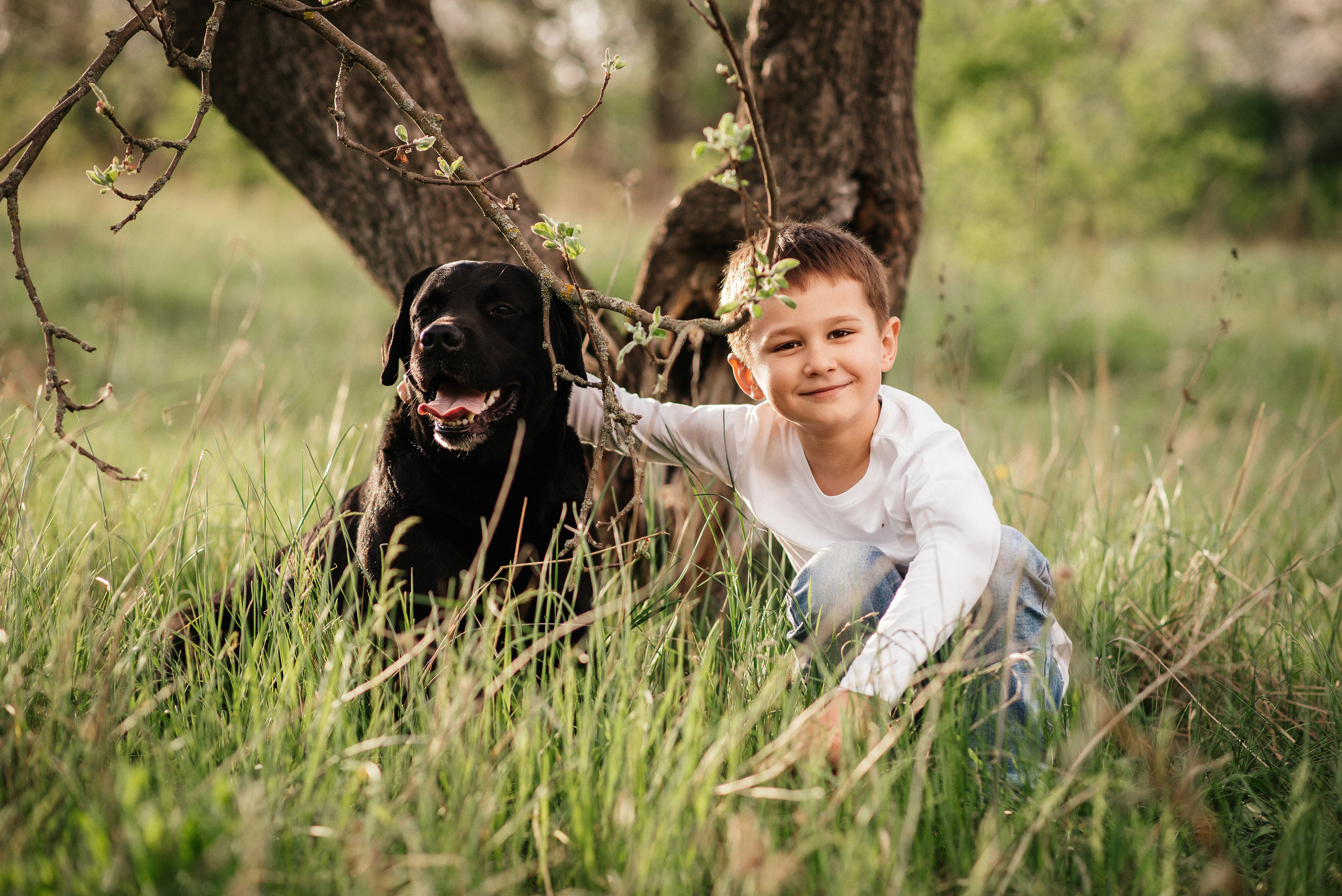 Собака — друг человека