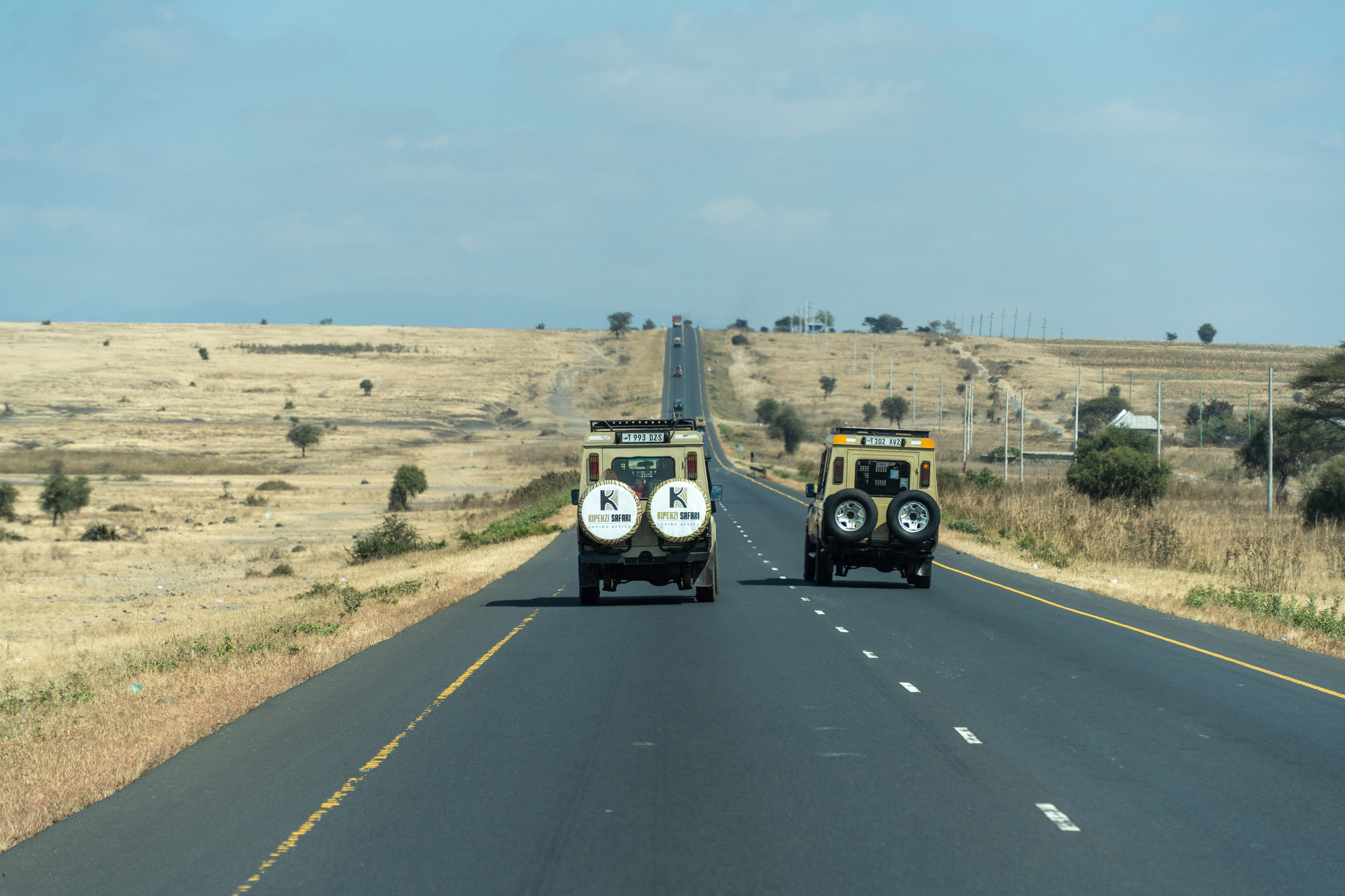 Танзания, сафари, 2025. Творческие сьемки