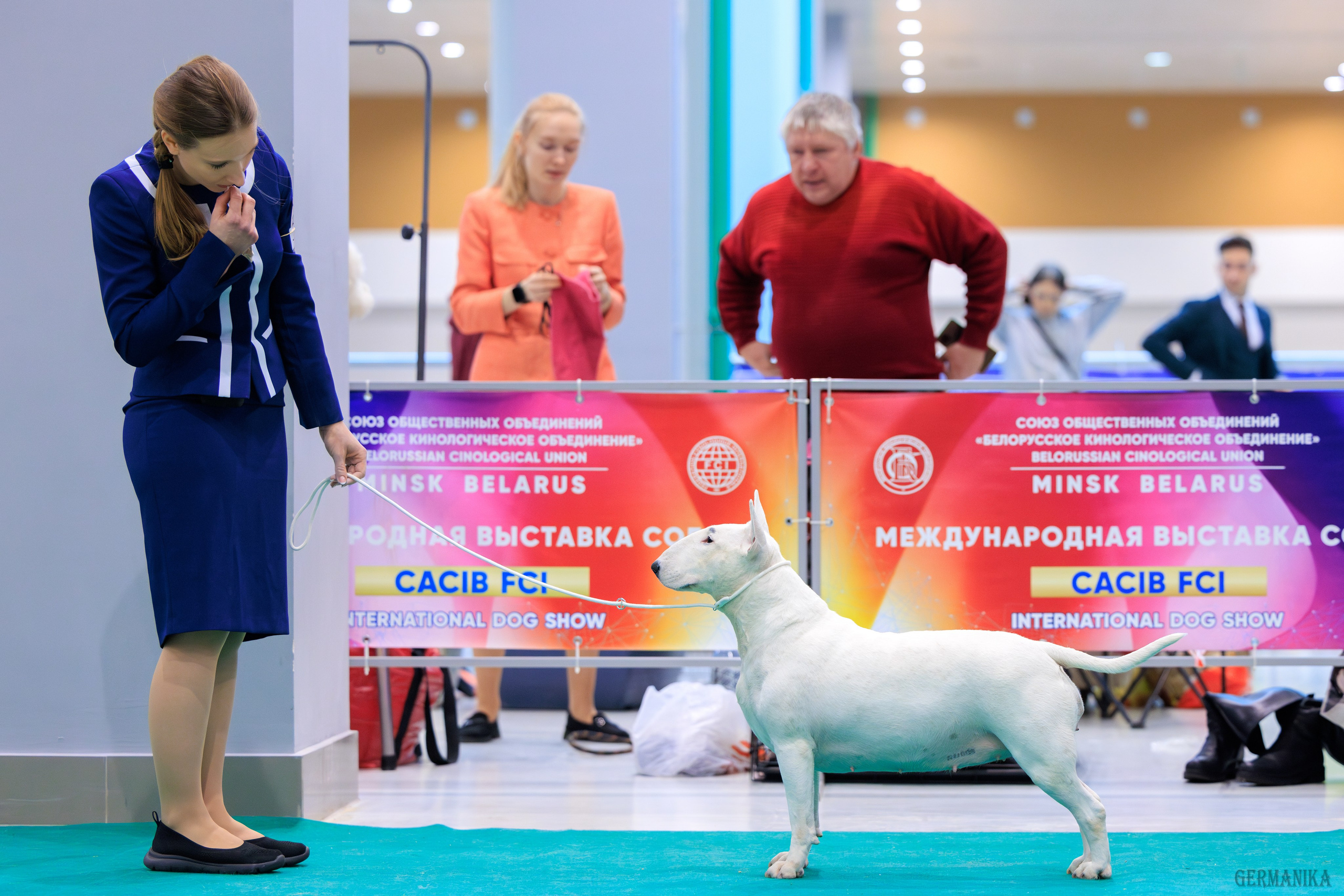 Минск 24-25.02.2024. Фотограф-анималист Юлия Германика