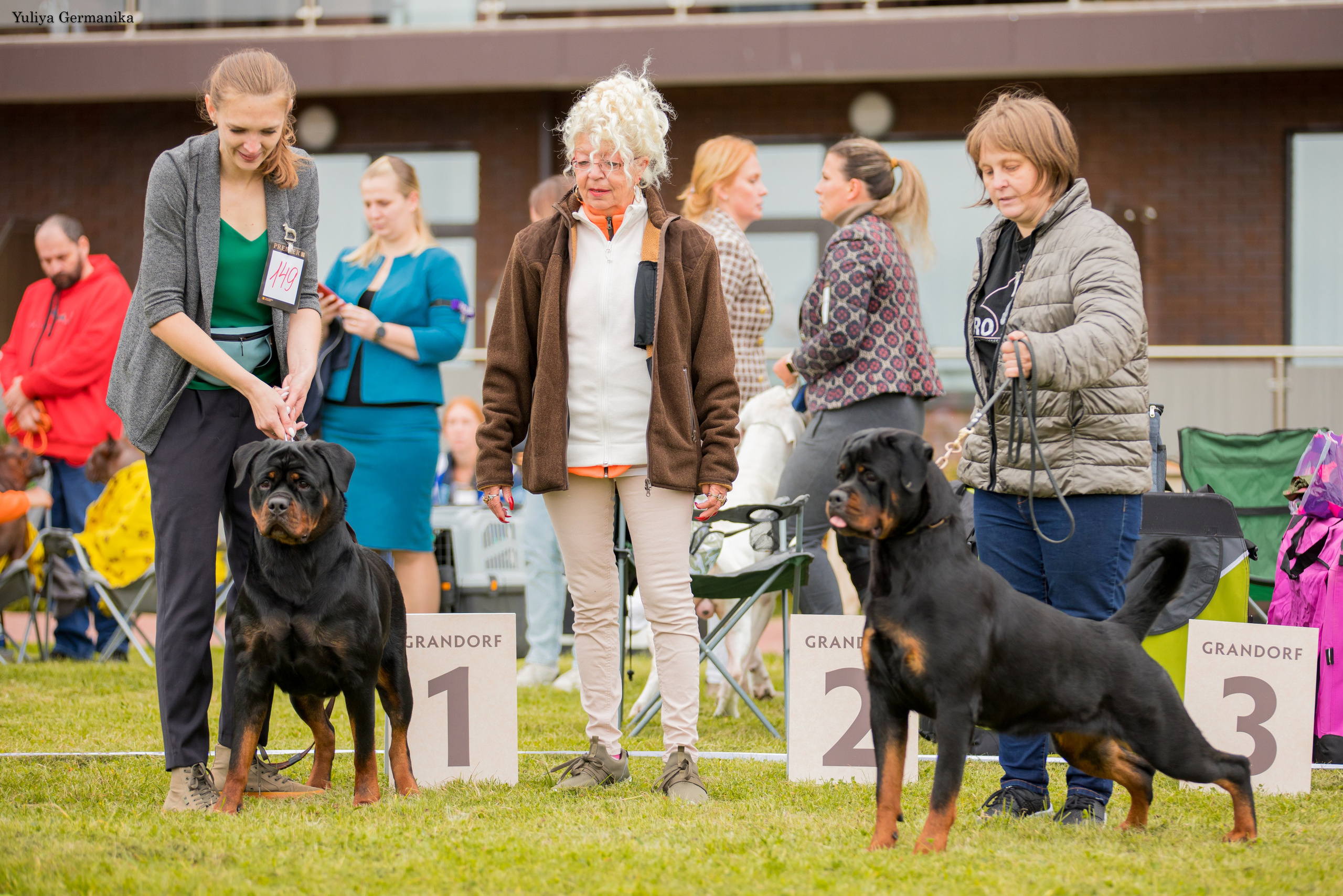 Переславль 9-10.09.2023. Фотограф-анималист Юлия Германика