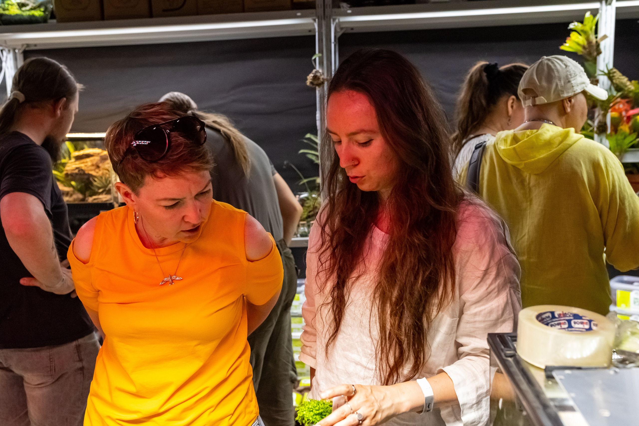 Рептилиум 2024. Александра Куликова фотограф, Москва