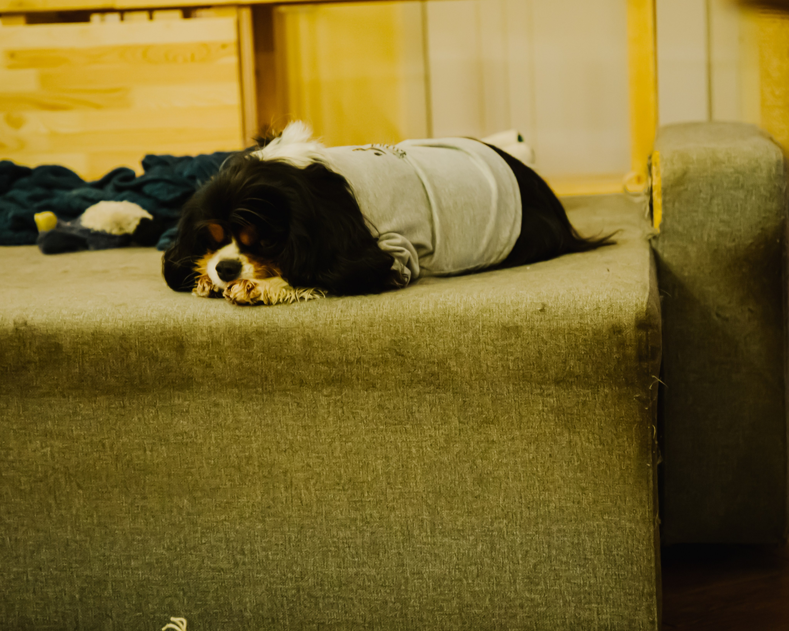 Гилдин. Портретный фотограф Ванинен Анастасия. Санкт-Петербург