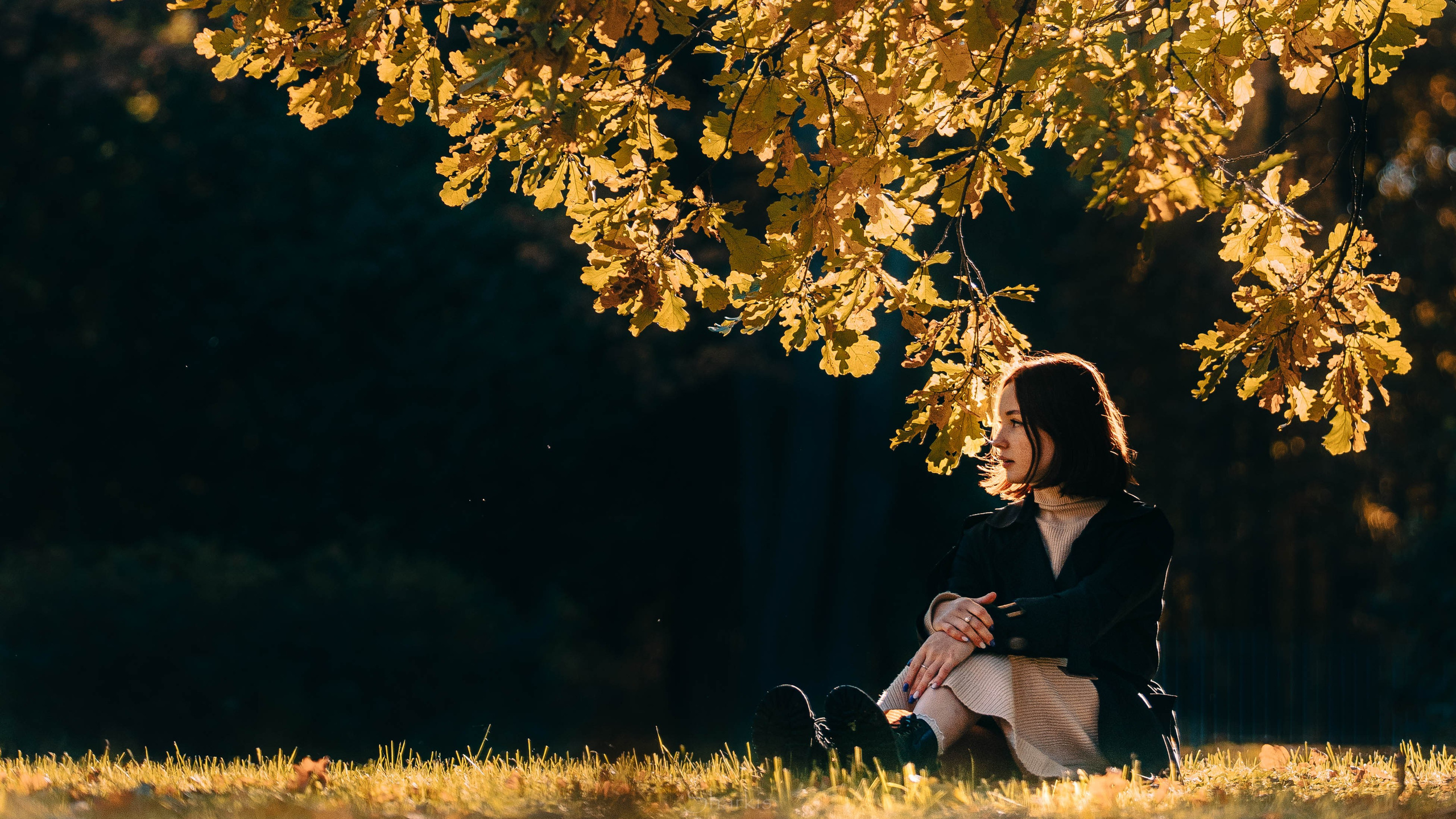 Света. Главная