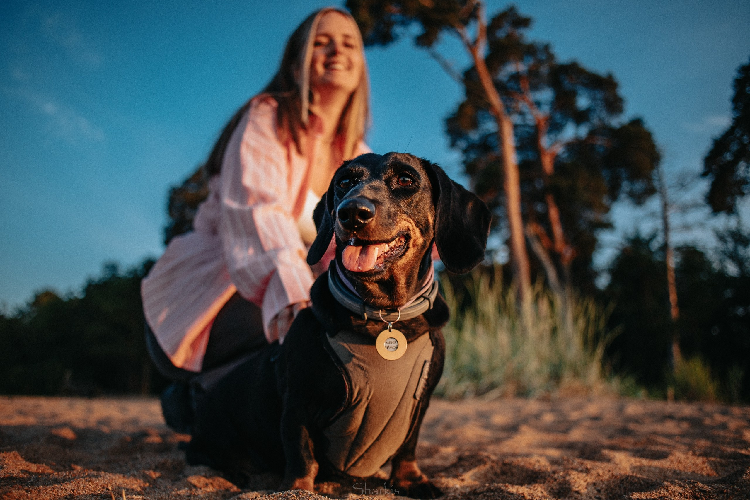 Аня и Алиса. Главная