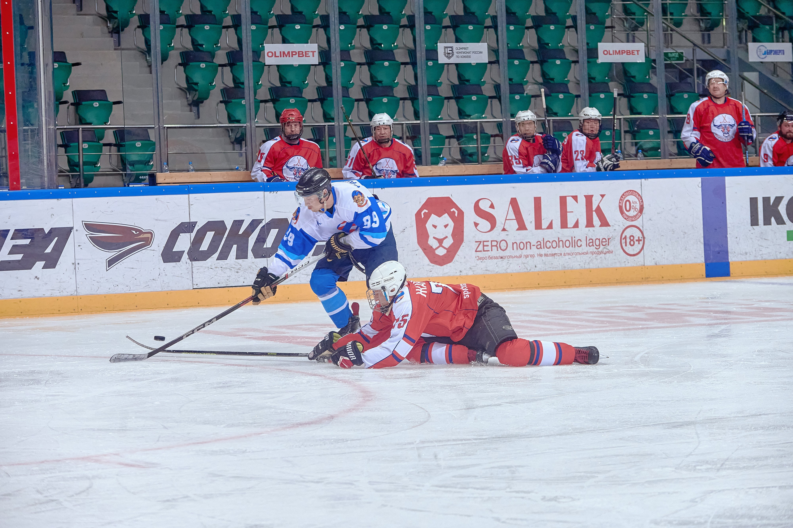 Платинум Арена — Хоккей — РусГидро. Фотограф Яковлев Роман — Красноярск