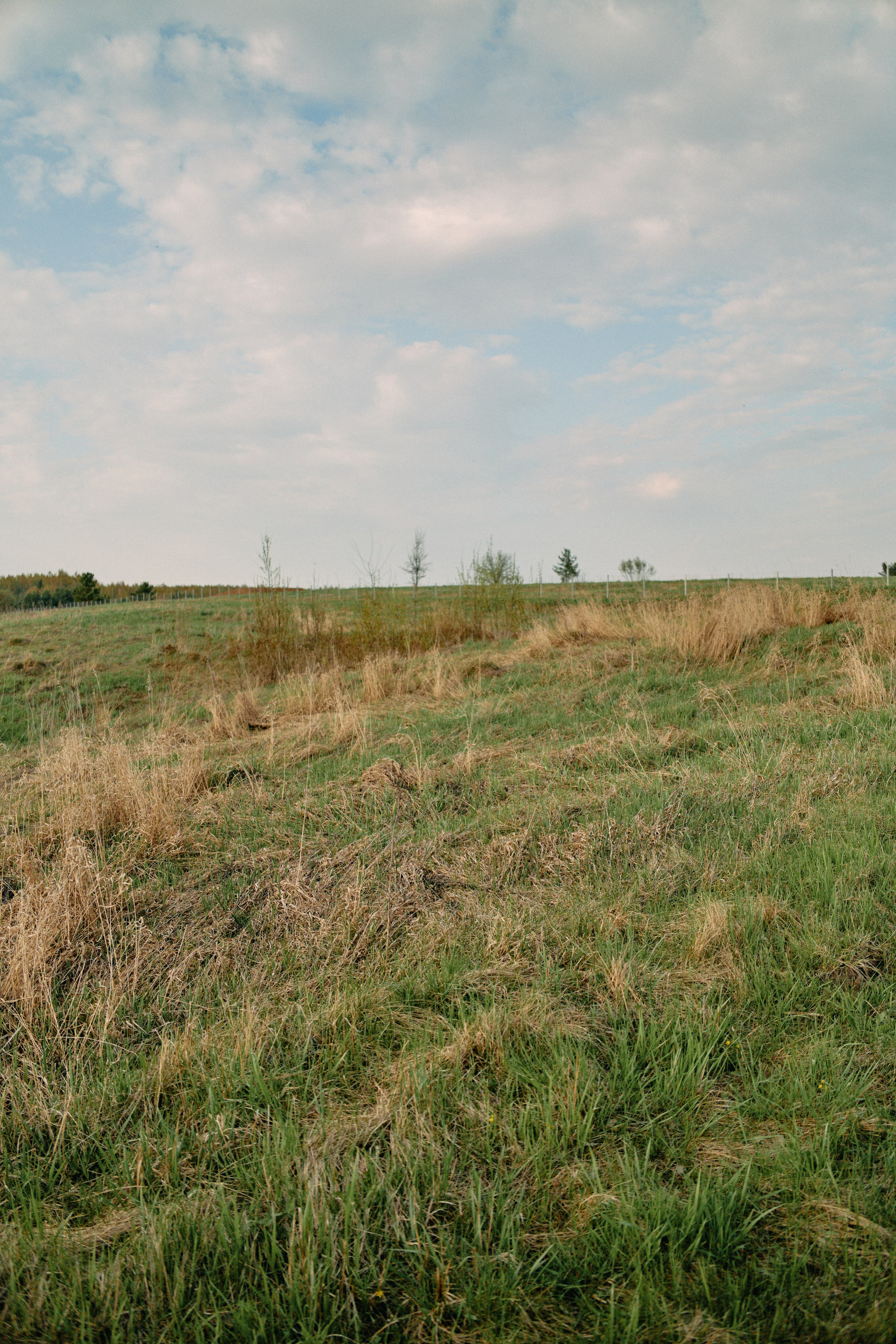 Бутик-отель Поле летом. Профессиональный Фотограф во Владимире, в Москве и в Суздале — Полина Романычева