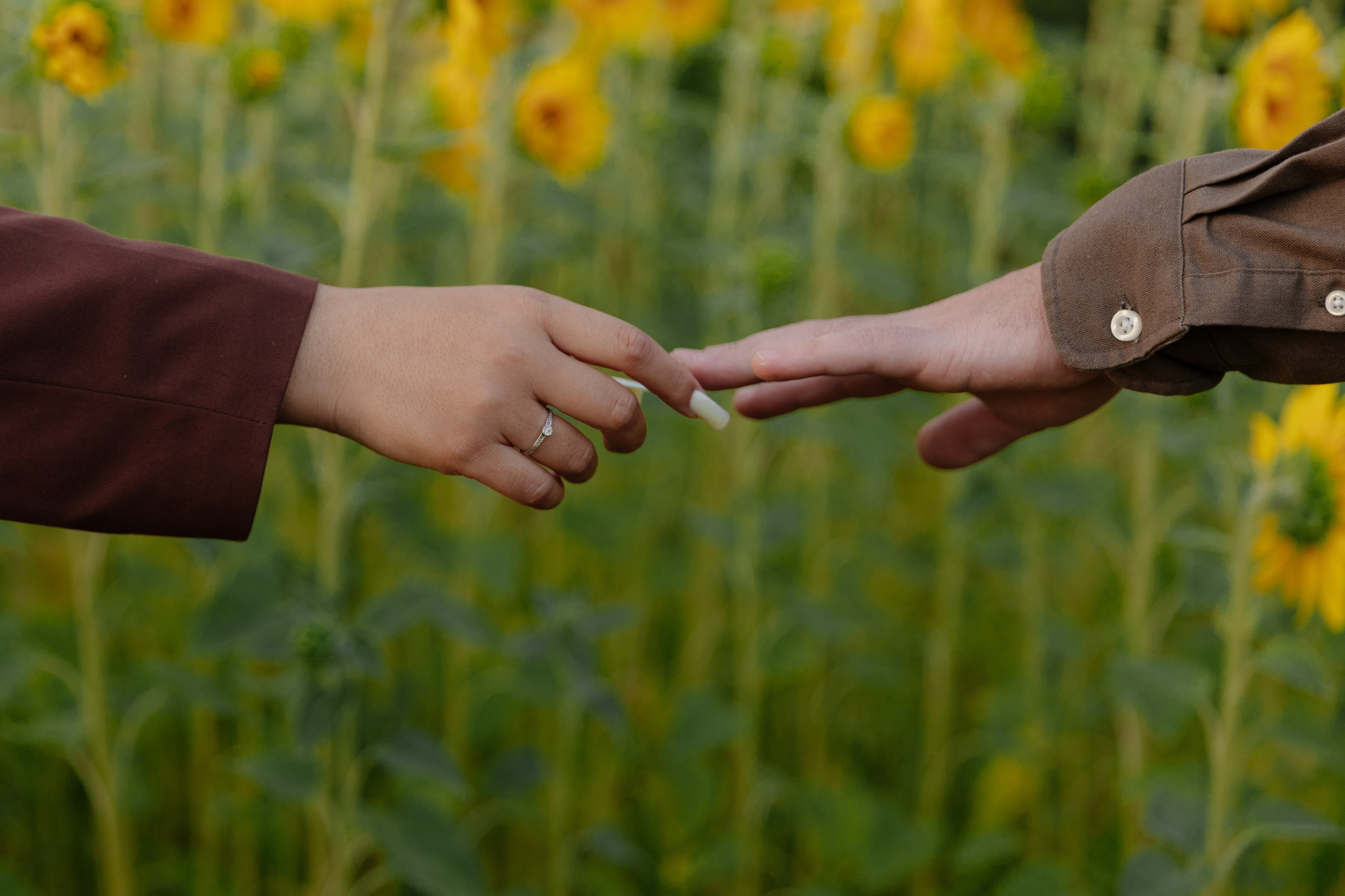 Предсвадебная Подсолнухи. Свадебный и репортажный фотограф г. Чебоксары Евгений Леонидович