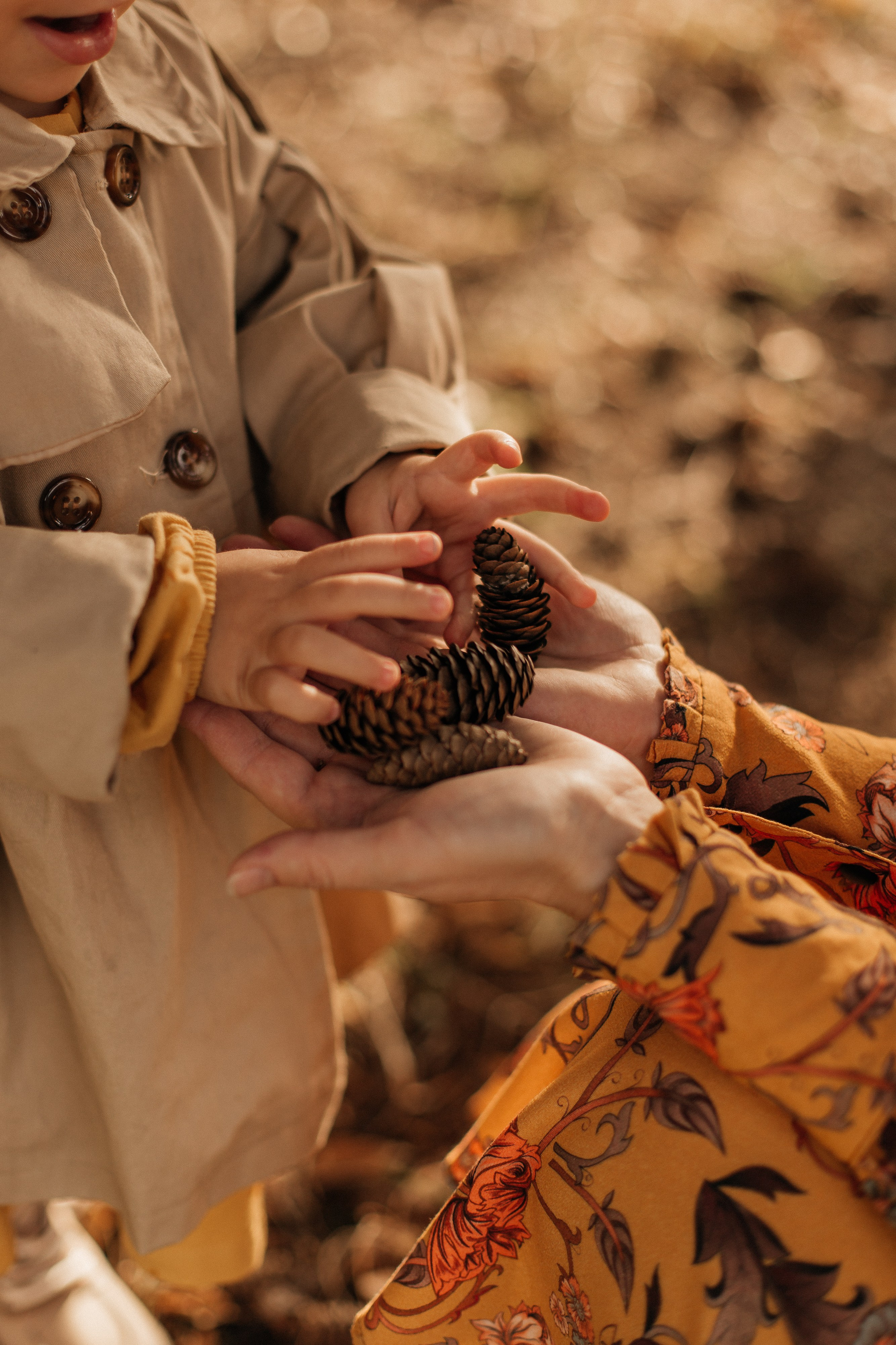 Осенняя прогулка. Свадебный и семейный фотограф в Иркутске