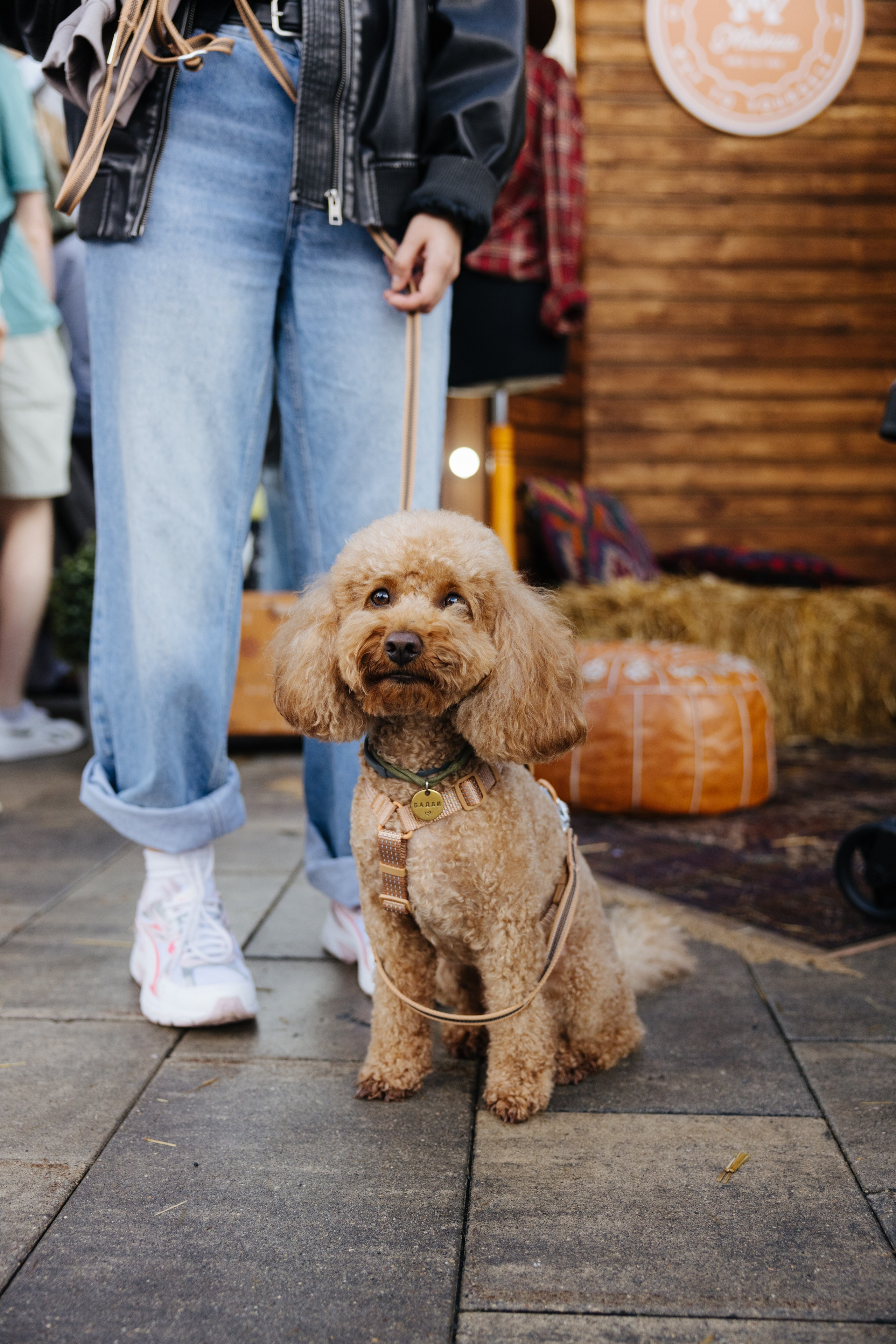 9–10 августа 2025 на Даниловском рынке / День 1 / фото Валерий Белобеев. Фотоотчеты «Ламбада-маркета»