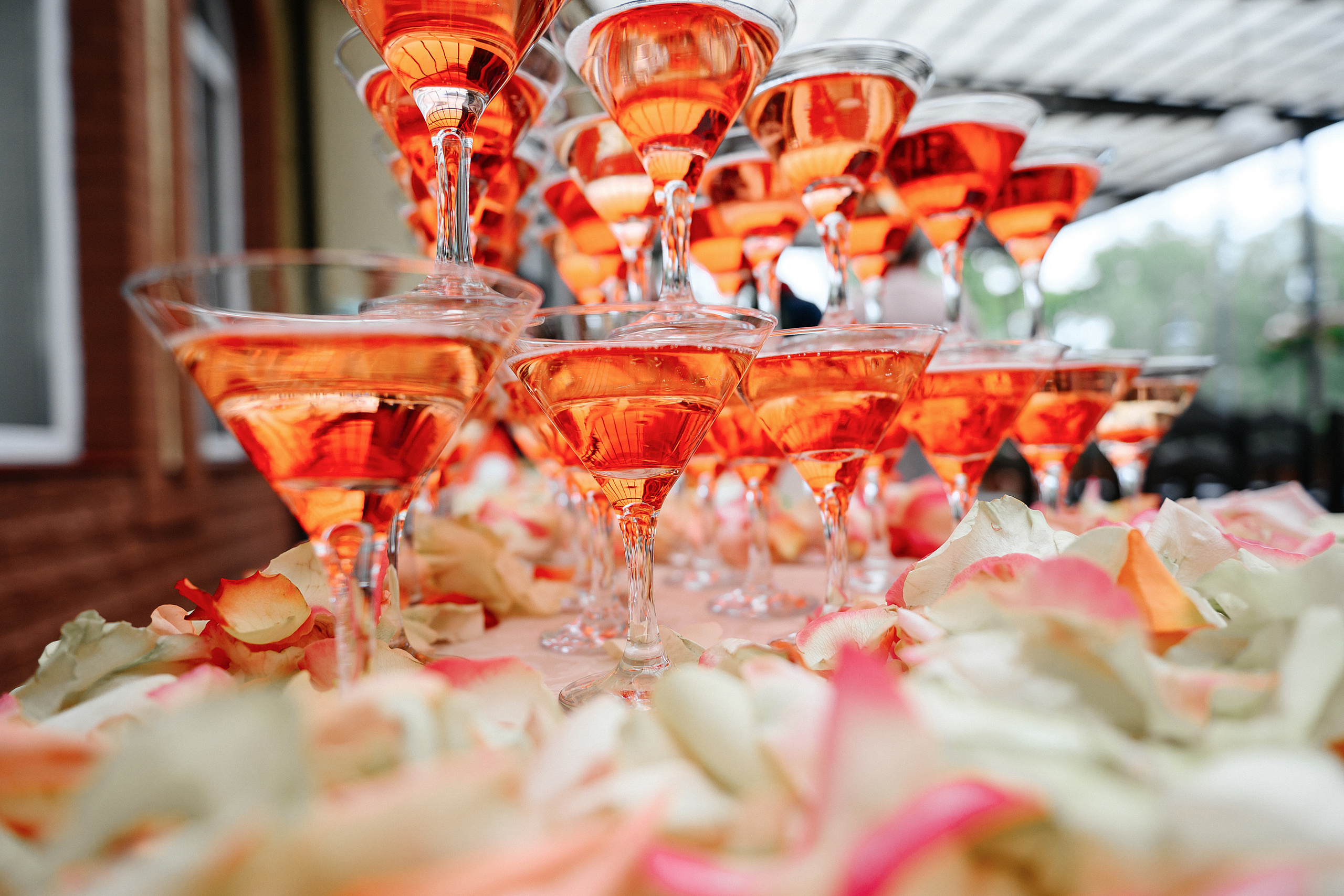 Александр и Анастасия. Zhulanovilya