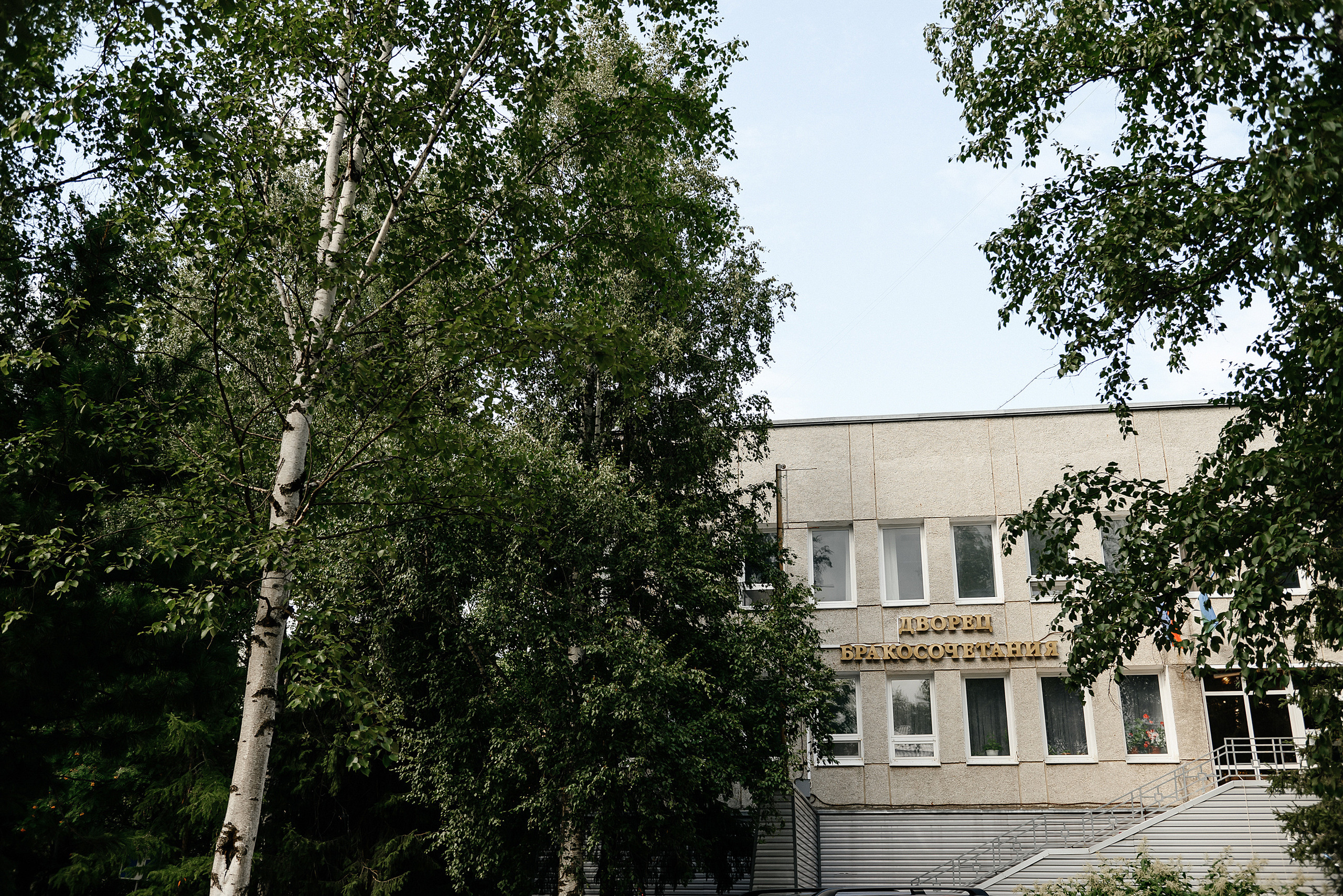 Александр и Анастасия. Zhulanovilya