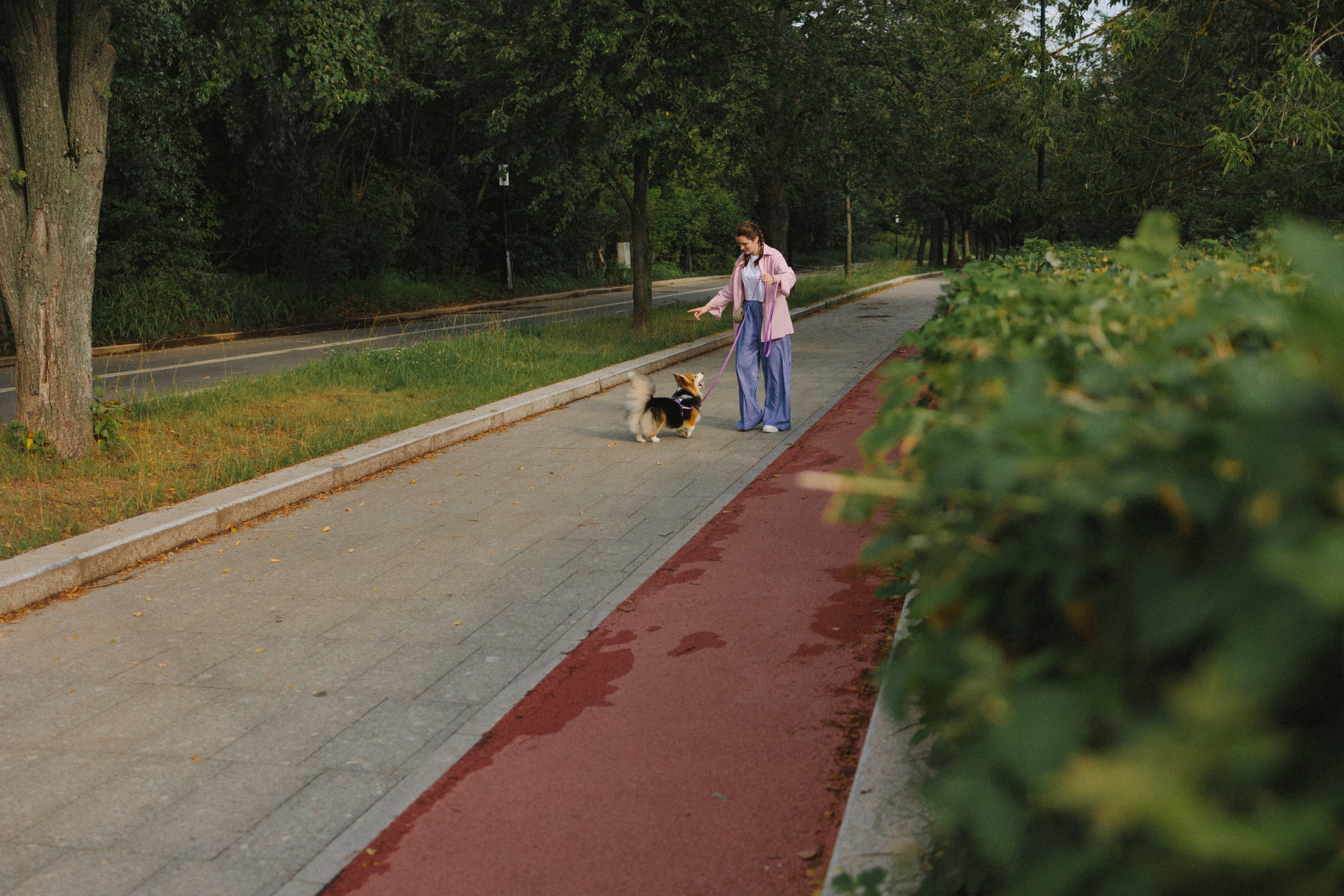 Мишель и Влада. Фотораф — анималист Мария Шистка