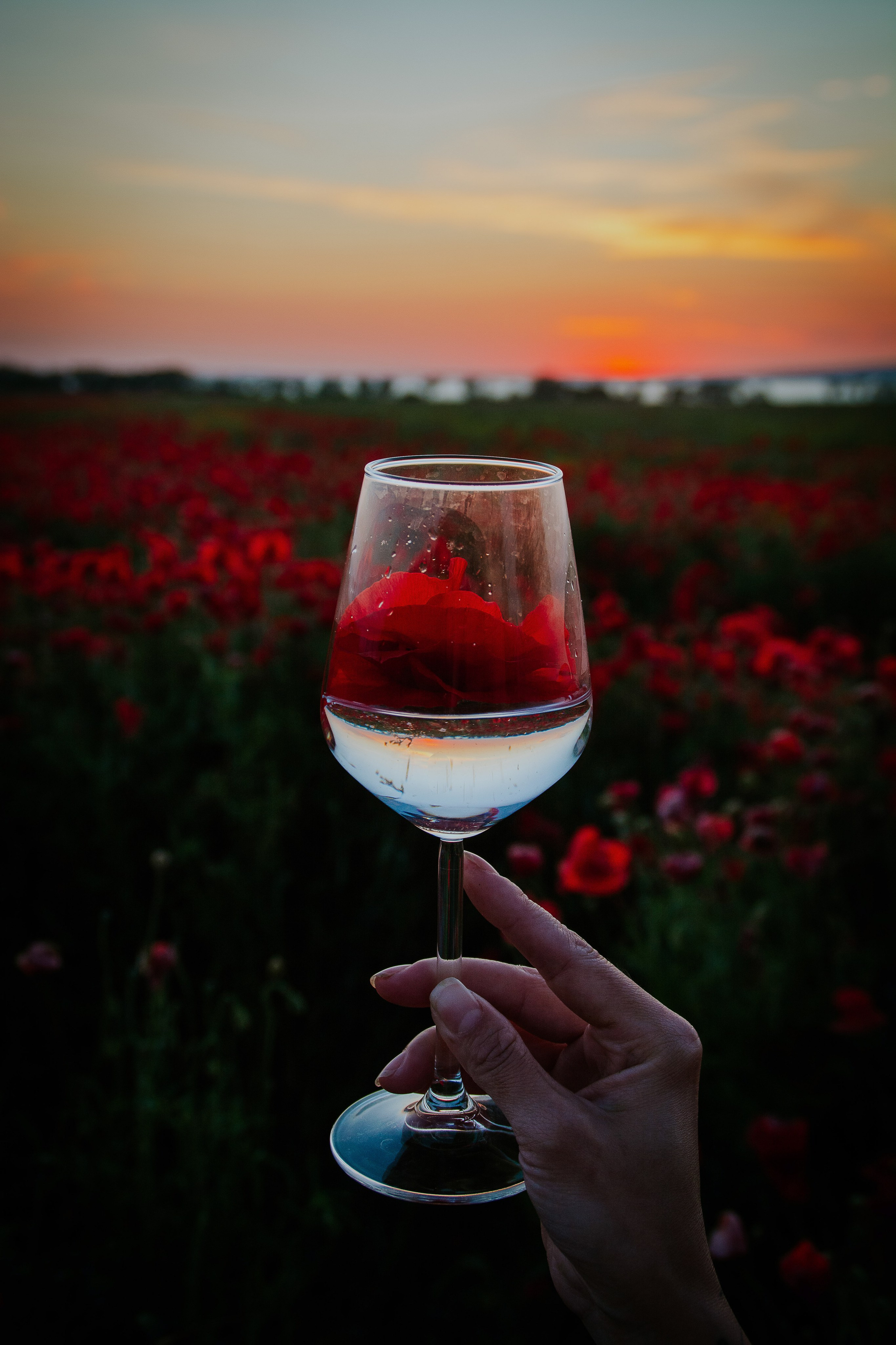 Фотосессия в поле маков. Елена Волкова семейный фотограф в станице Гостагаевской города-курорта Анапа