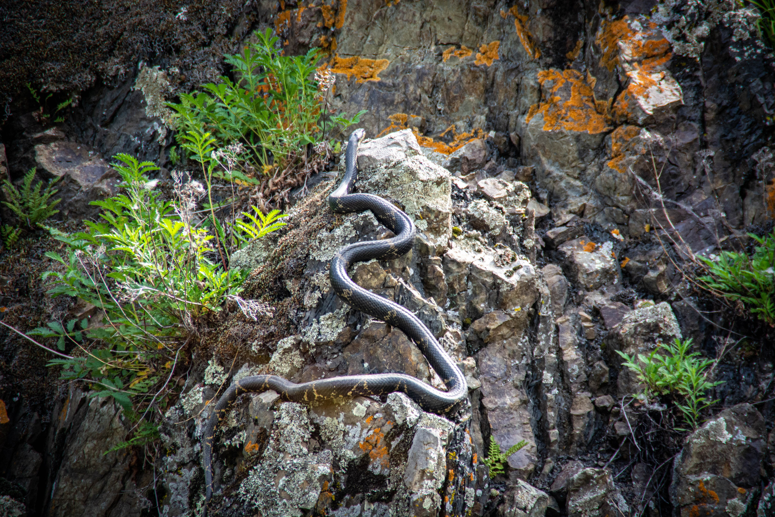 Природа в фотографии, взгляд на прекрасное через объектив фотоаппарата. Елена Волкова семейный фотограф в станице Гостагаевской города-курорта Анапа