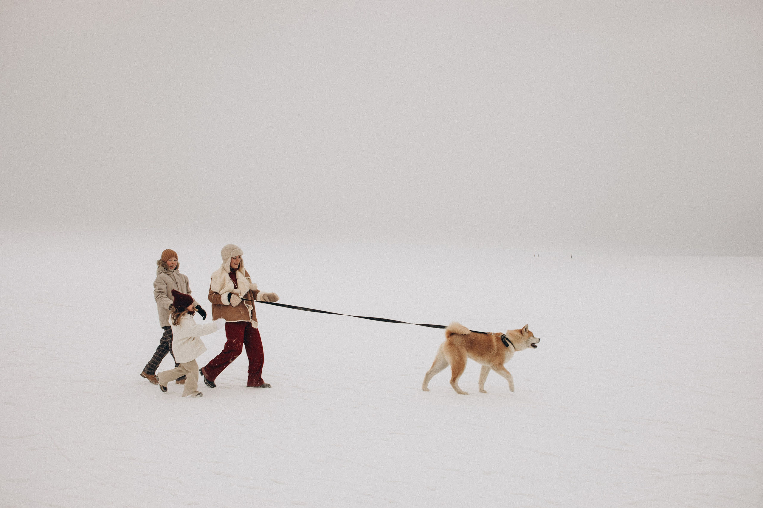 Новогодние / Зимние